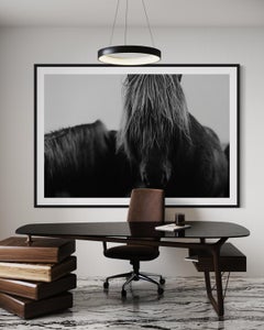 "Mop Head 8120", Black and White Horse Photograph, Wild Horses
