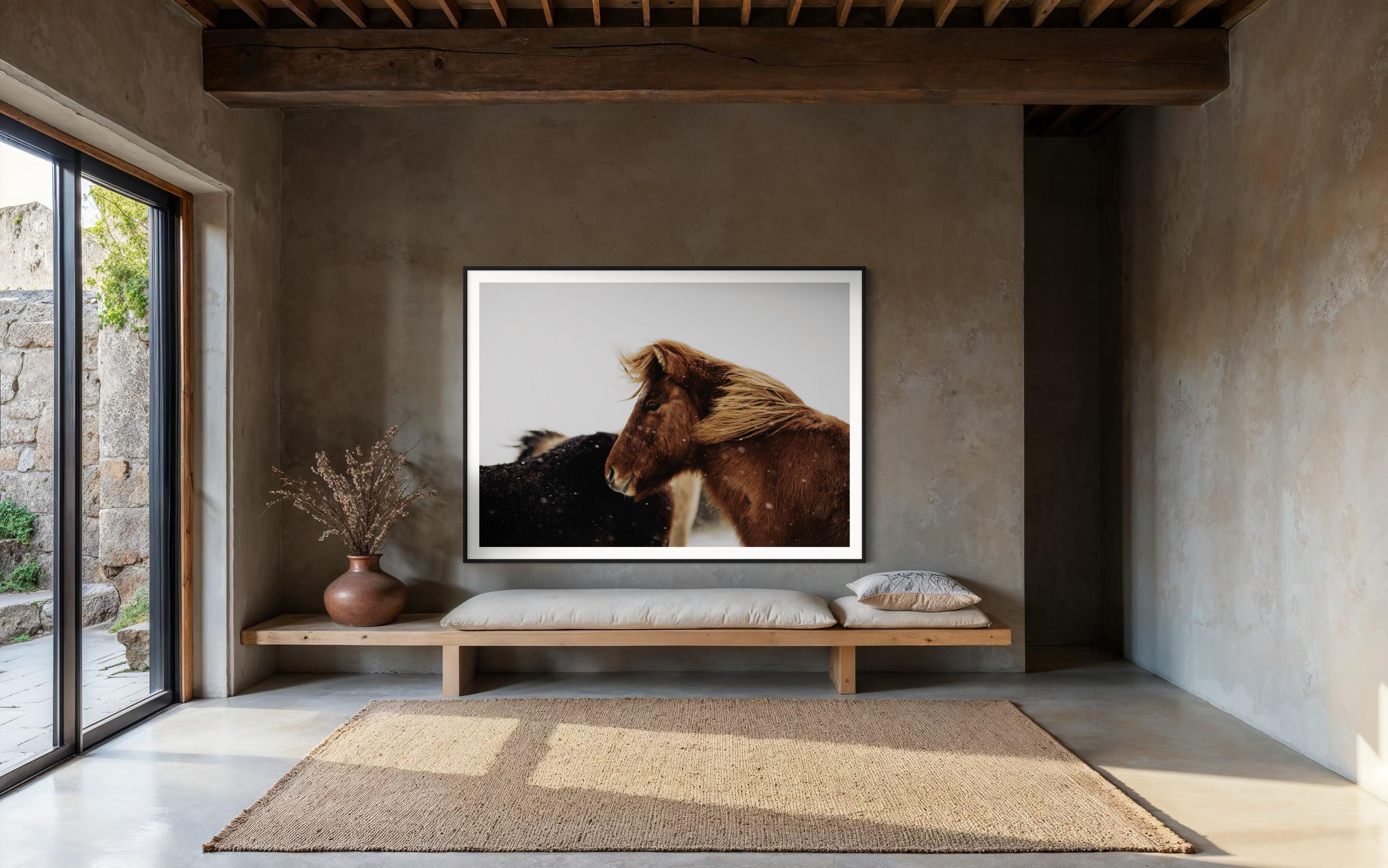 Caballo salvaje, Fotografía de caballos en color, Impresiones artísticas de caballos, Caballos-Bernie - Photograph Contemporáneo de Addison Jones