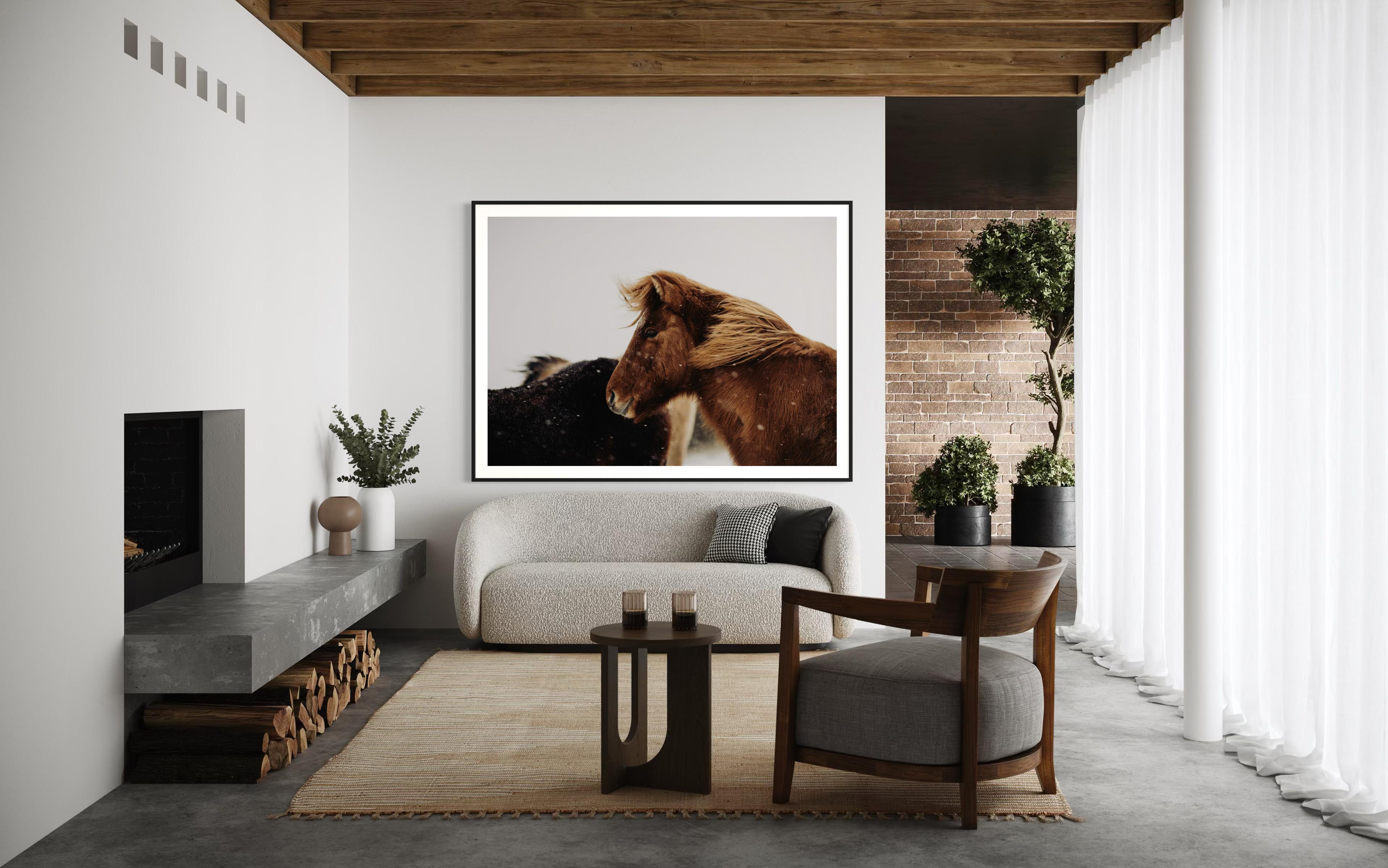 Caballo salvaje, Fotografía de caballos en color, Impresiones artísticas de caballos, Caballos-Bernie en venta 1