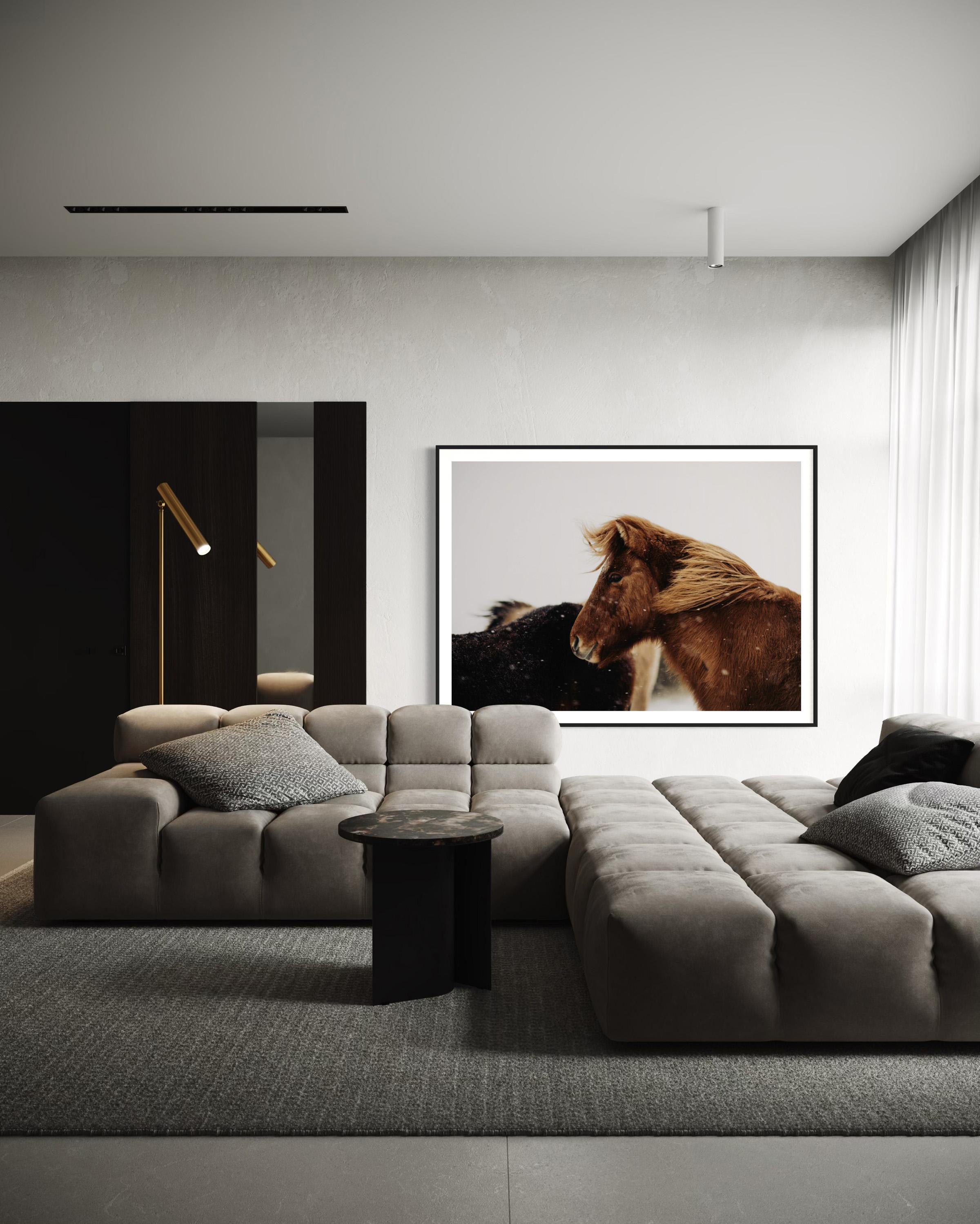 Caballo salvaje, Fotografía de caballos en color, Impresiones artísticas de caballos, Caballos-Bernie en venta 3