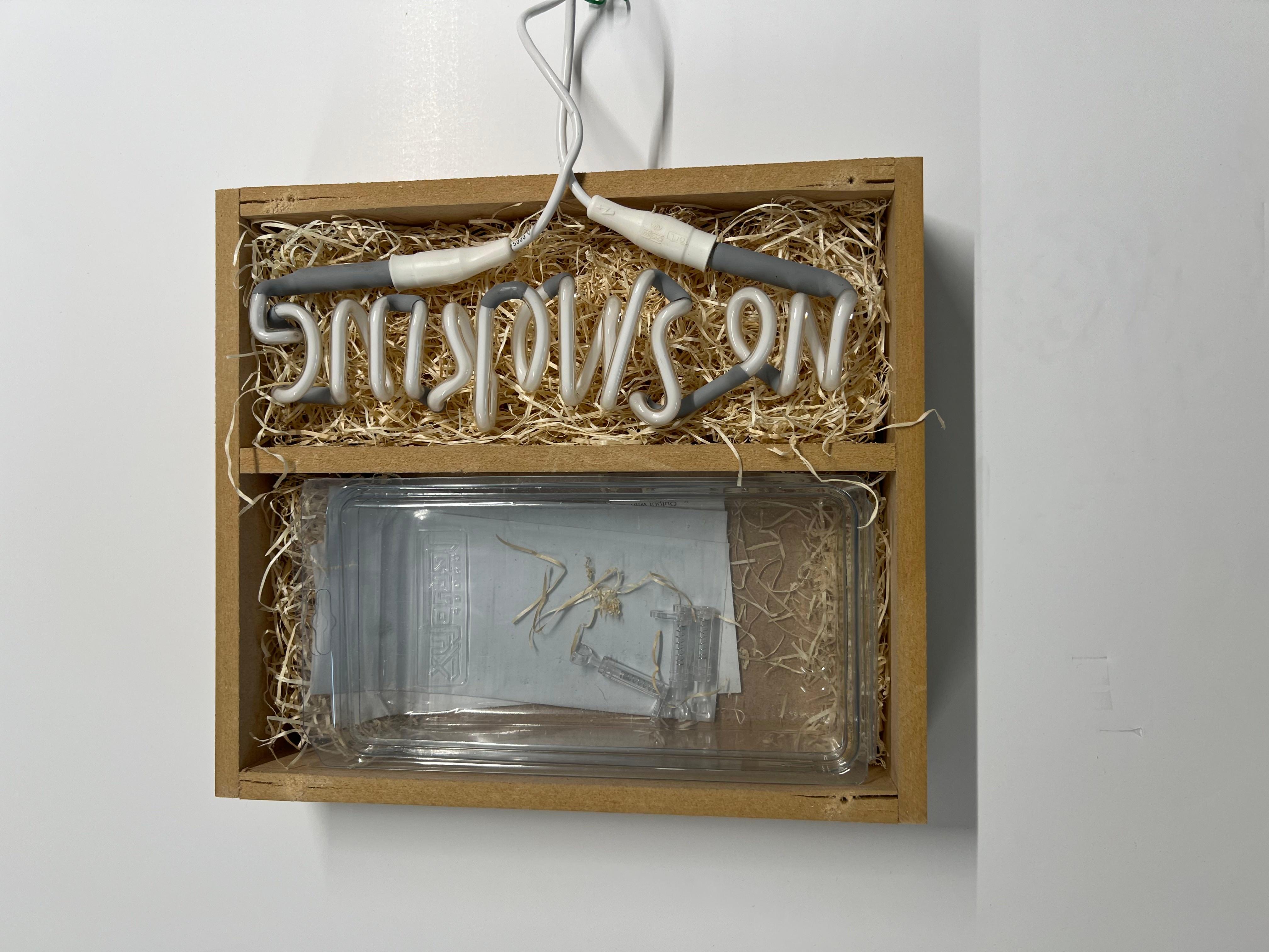 Adel Abdessemed, No Smoking - Limited Art Edition, Neon Light, Multiple, Design For Sale 10