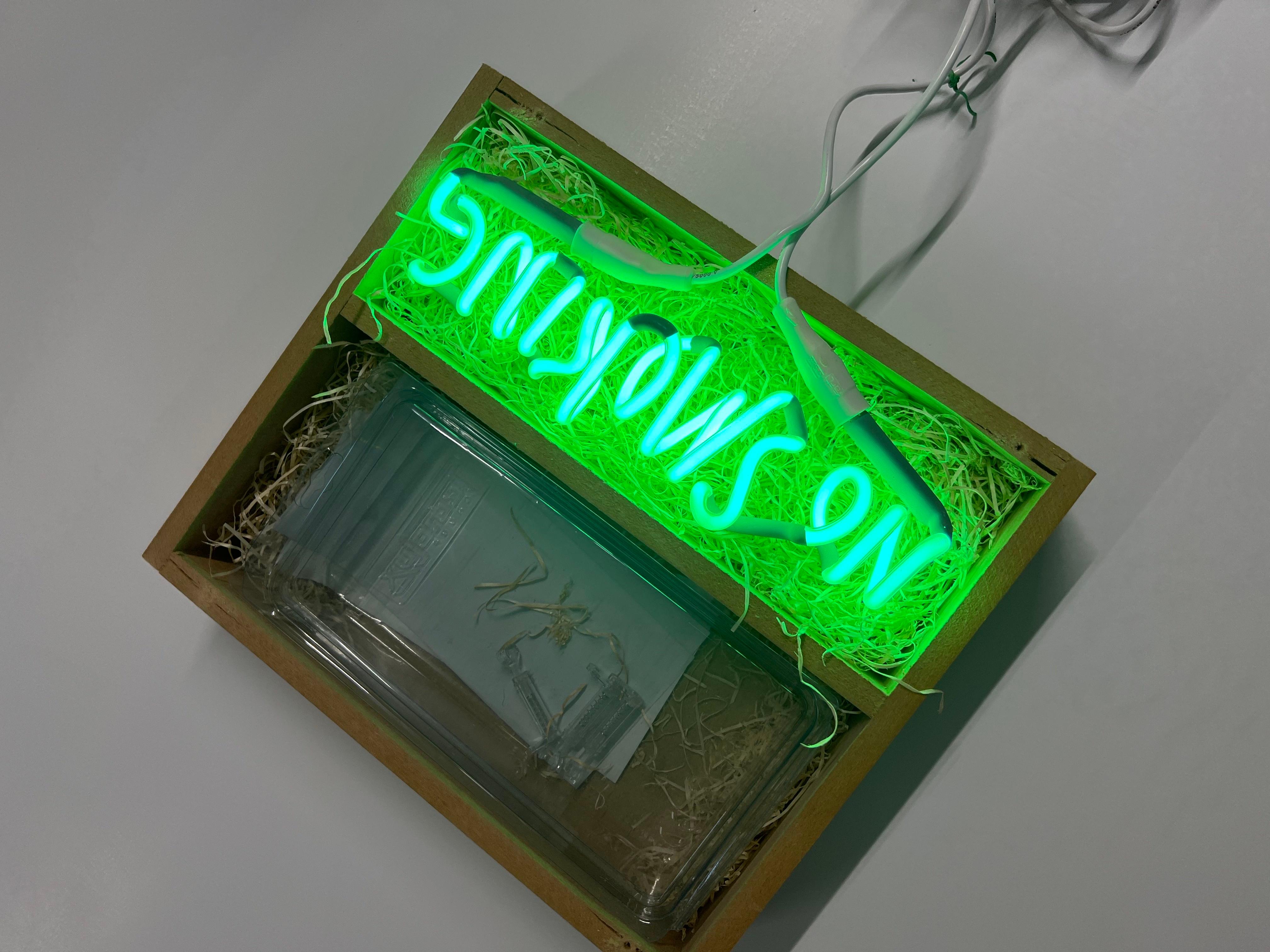 Adel Abdessemed, No Smoking - Limited Art Edition, Neon Light, Multiple, Design For Sale 11