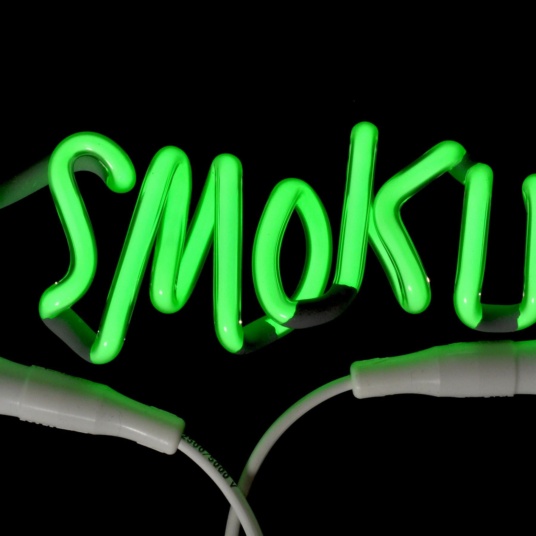 Adel Abdessemed, No Smoking, Édition Limitée, Neon Light, Multiple, Design en vente 2