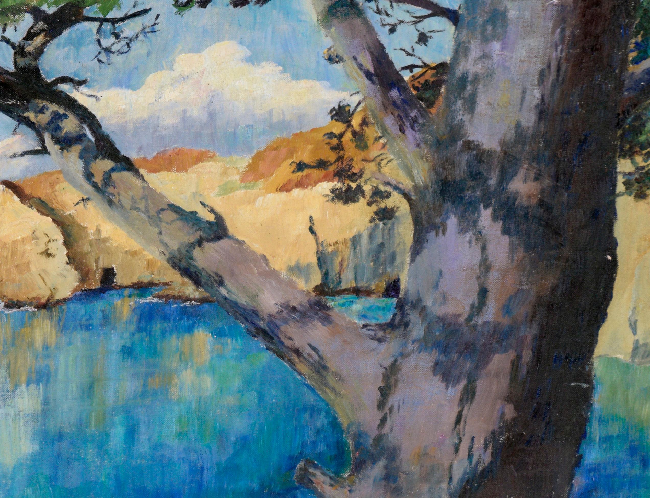Point Lobos Cove, Carmel California di Adelaide Bartleme in vendita 2