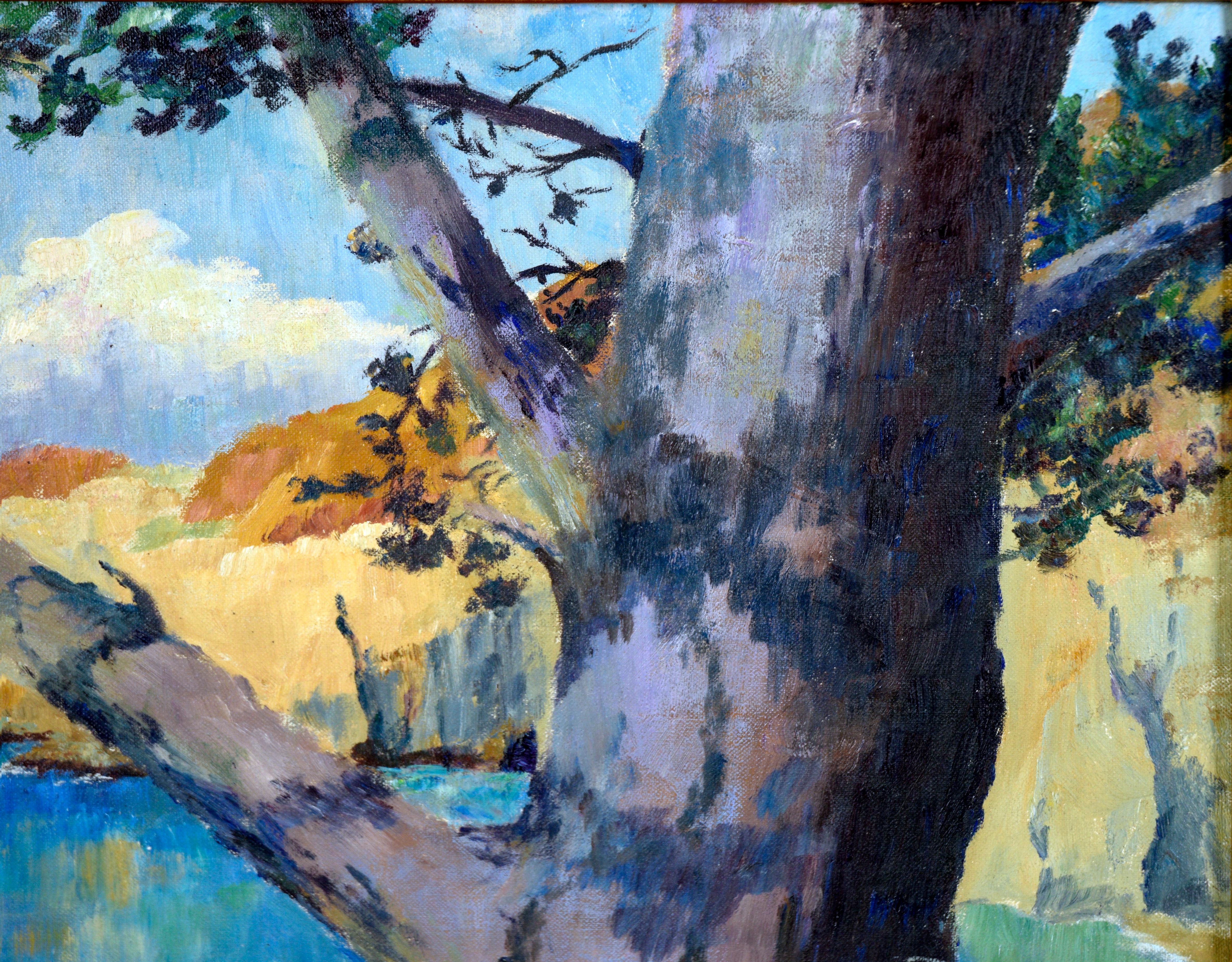 Point Lobos Cove, Carmel California di Adelaide Bartleme in vendita 4