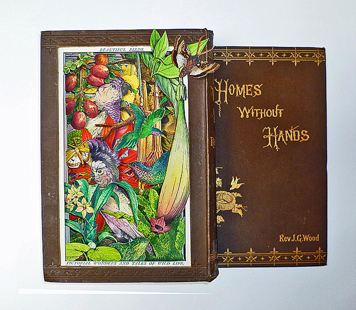 Homes Without Hands - Contemporary, Sculptured Book: Framed Mixed Media