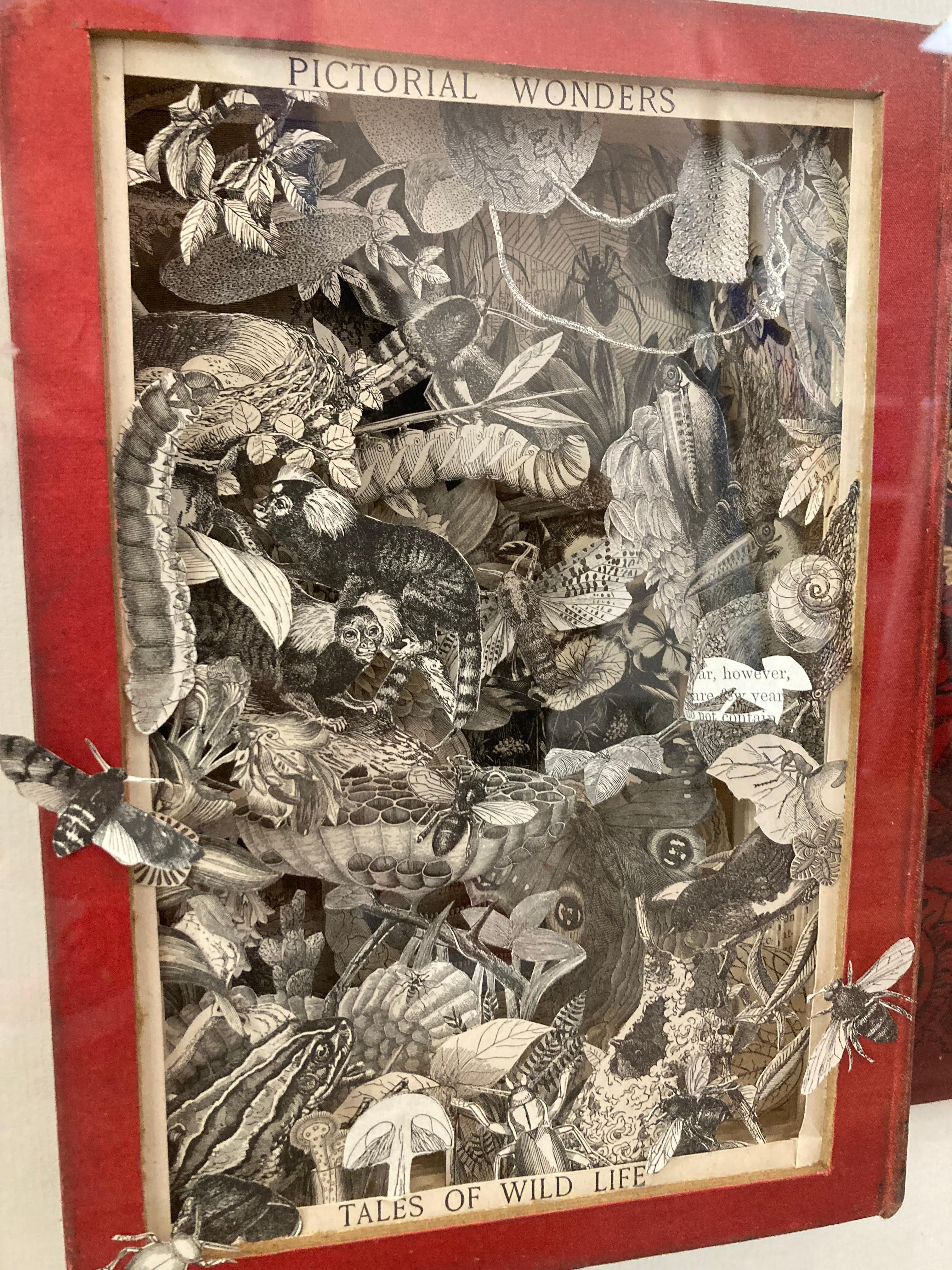 Pictorial Wonders and Tales of Wild Life - sculpted red book framed glazed  - Contemporary Mixed Media Art by Adele Moreau