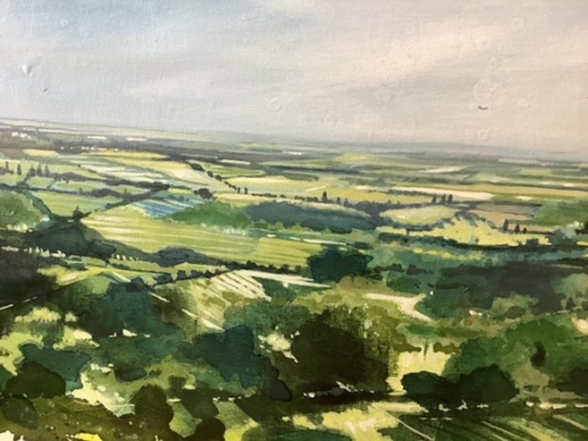 Adele Riley, Above and Beyond Cleeve Hill, Contemporary Art, Original Painting For Sale 1