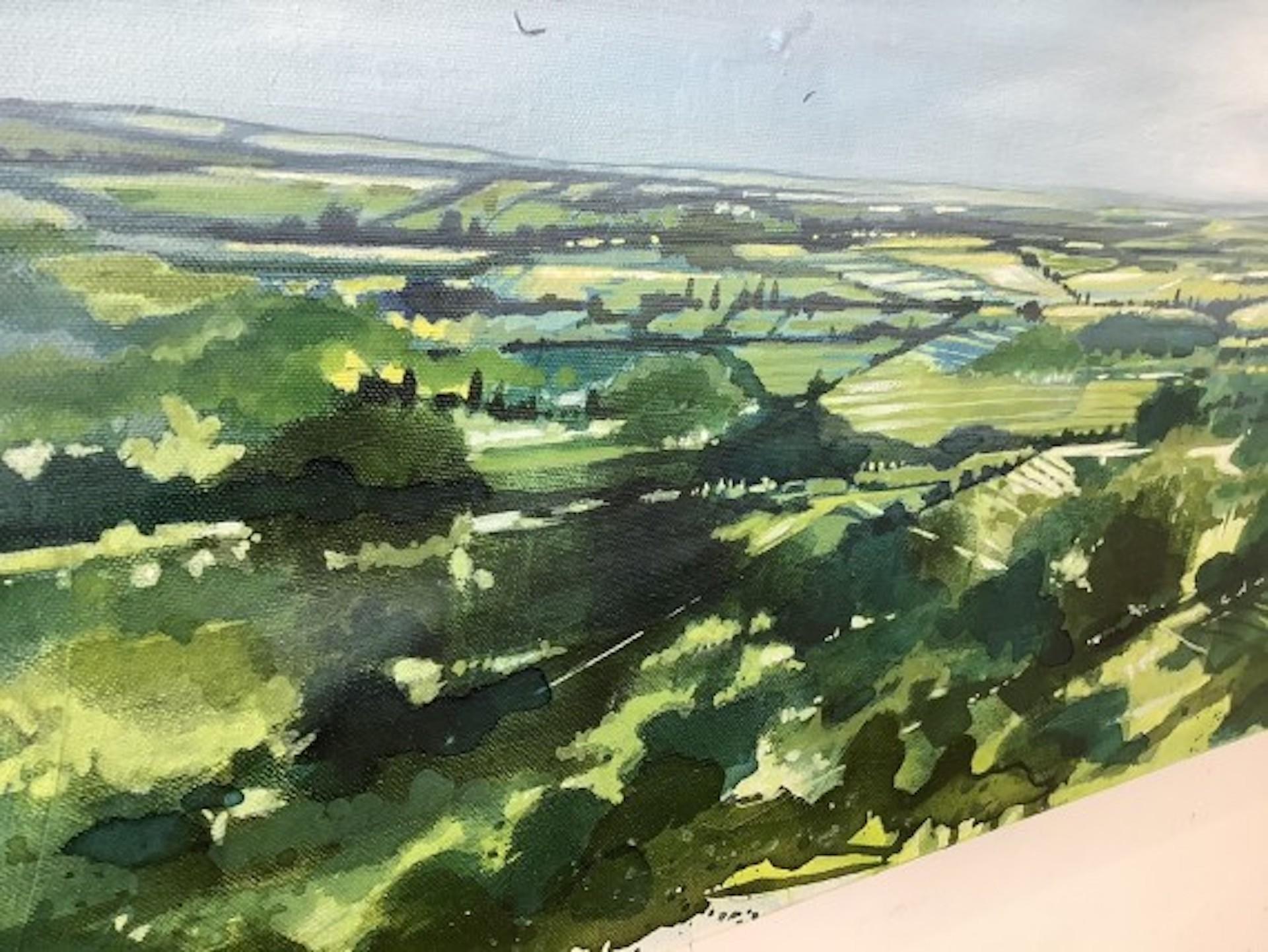 Adele Riley, Above and Beyond Cleeve Hill, Contemporary Art, Original Painting For Sale 2