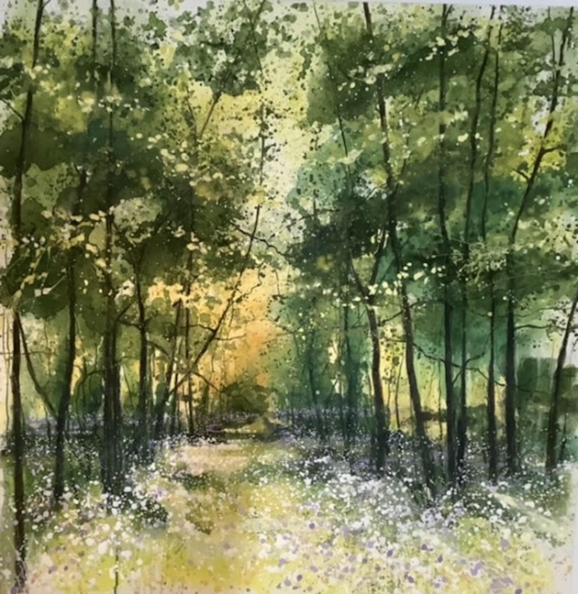 Adele Riley, Endless Light, Affordable Art, Woodland Landscape Art