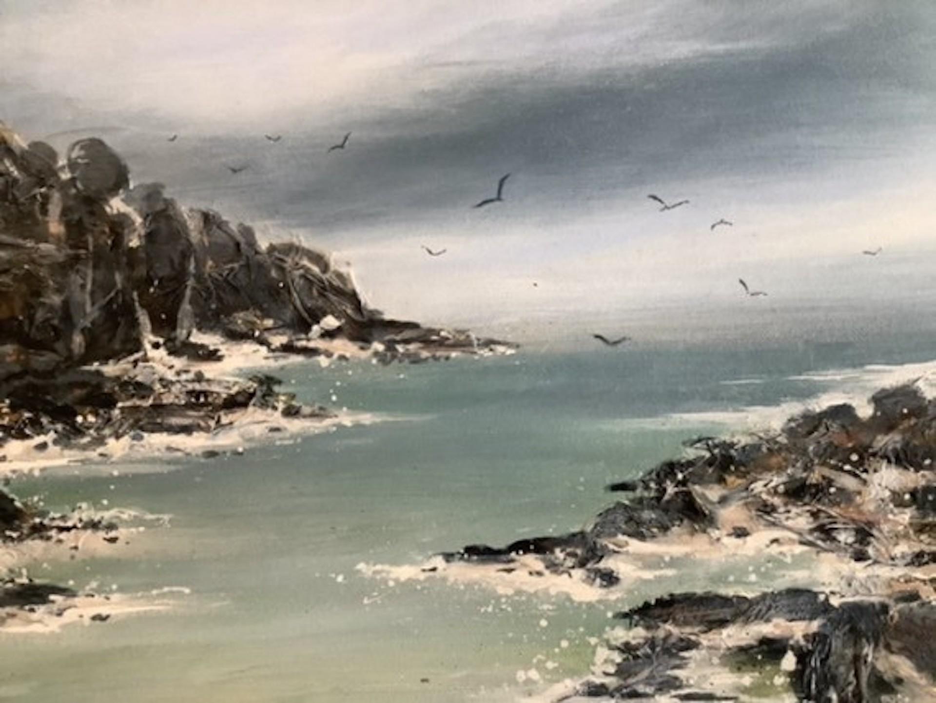 Adele Riley, Gulls Call, Art de paysage marin, Art abordable, Art de Cornouailles, Art en ligne en vente 6