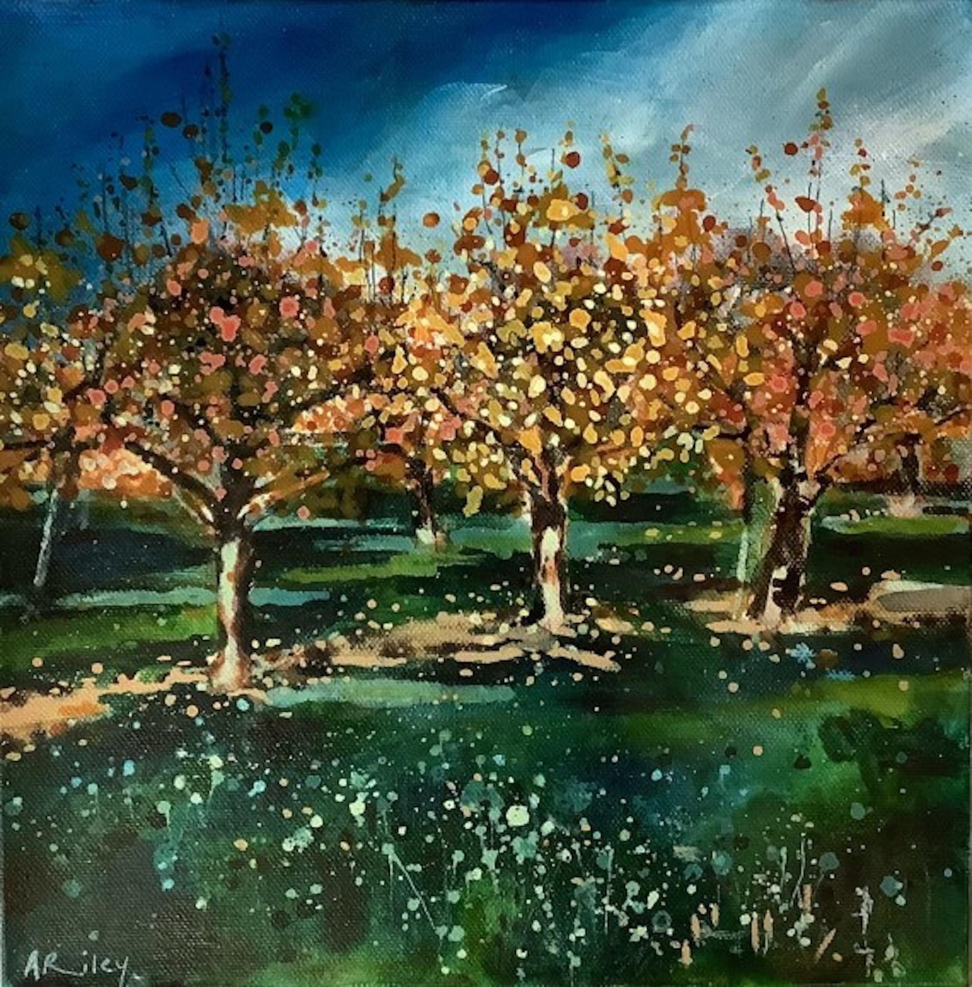 Adele Riley, The Old Orchard, Original-Landschaftsgemälde, zeitgenössische Kunst