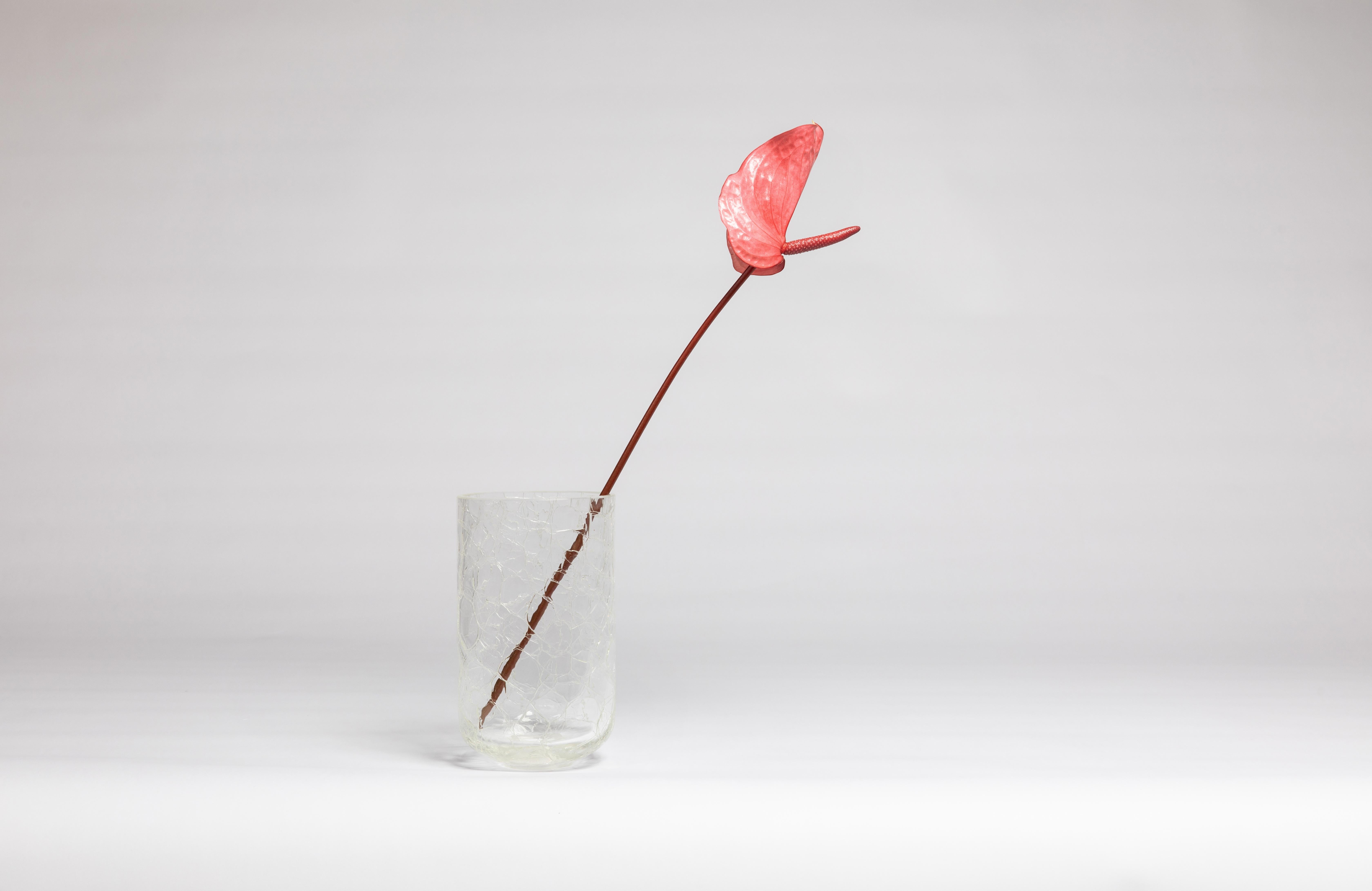 ADesignStudio Vaso Crackle V2 - Vaso scultoreo in vetro che bilancia forza e fragilità

Il prezzo di listino riflette solo il punto di partenza. Il prezzo finale varia in base alle finiture e alle personalizzazioni selezionate.

Il vaso Crackle V2