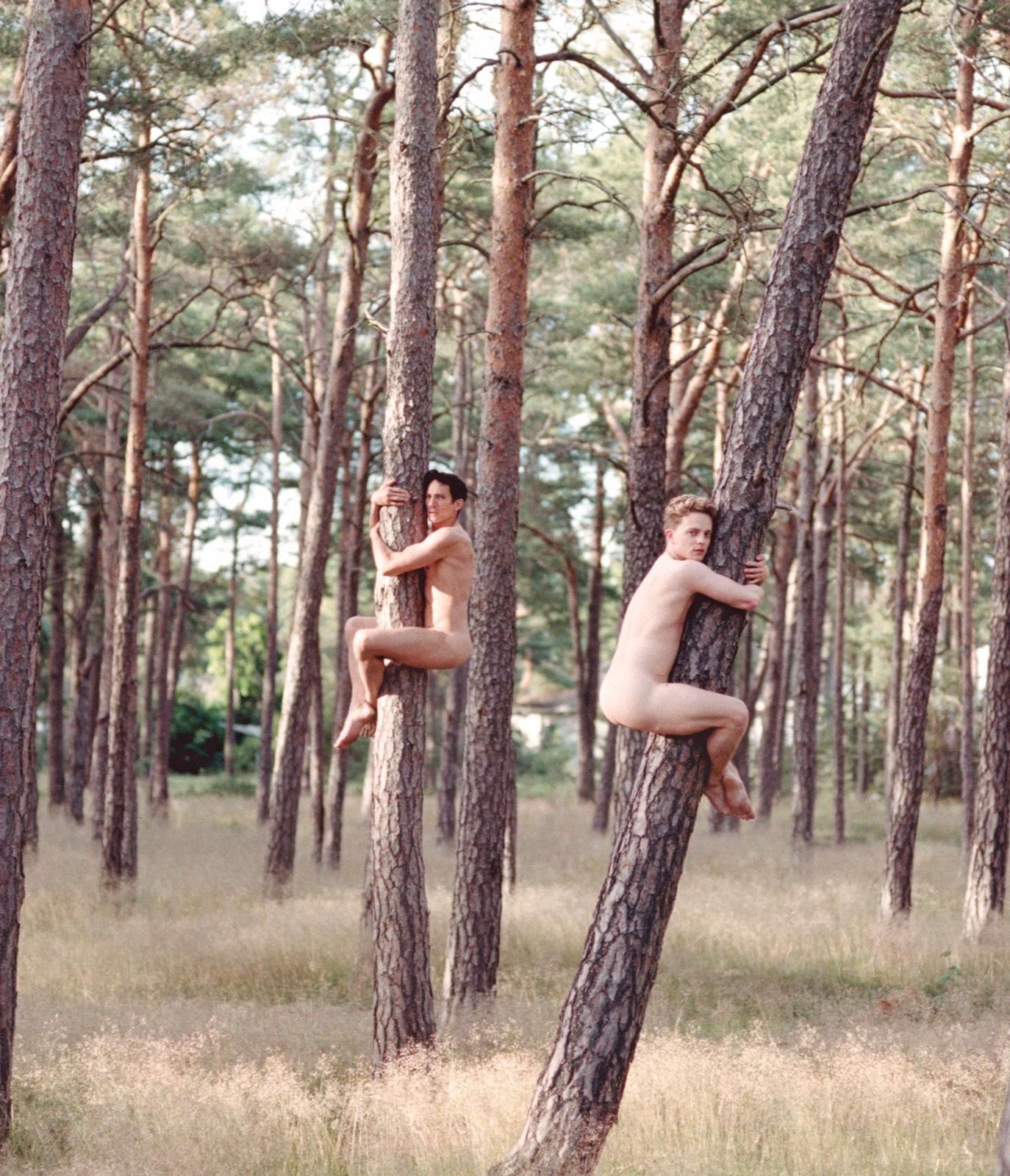 Autumn is Coming (Falsterbo Sweden / Nude Boys as Tree Huggers) - Photograph by AdeY