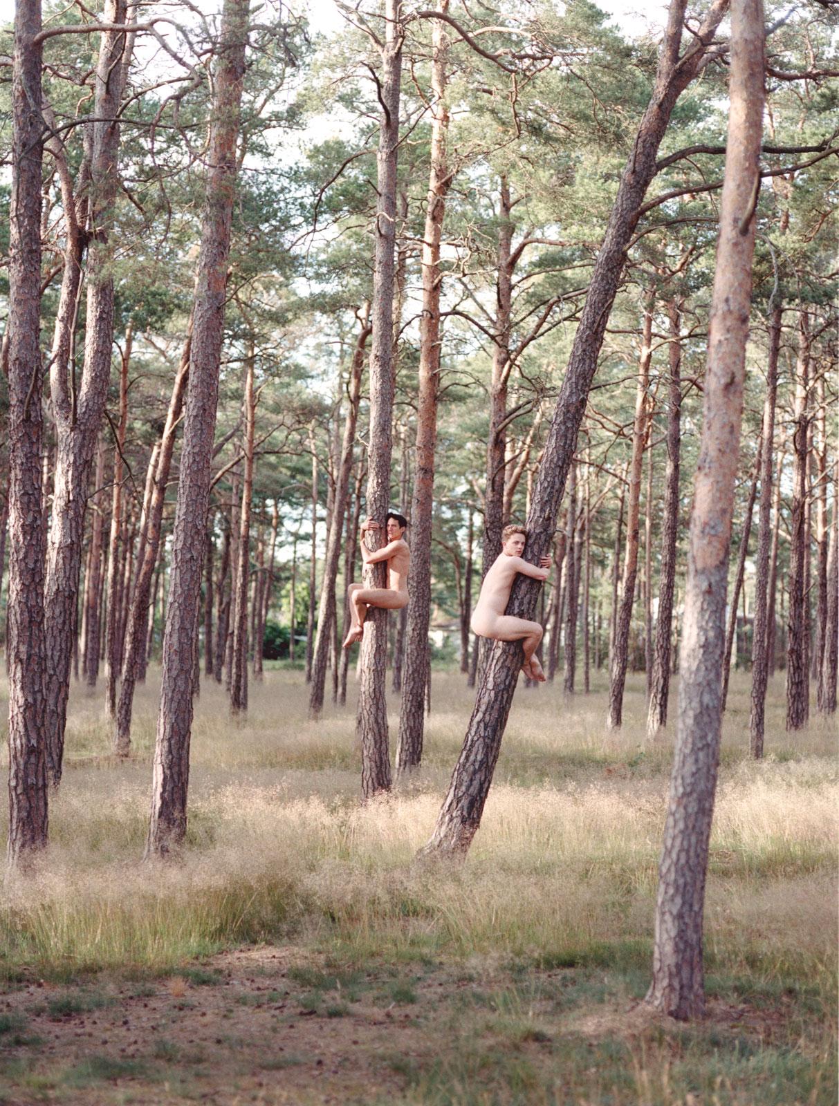 AdeY Nude Photograph - Autumn is Coming (Falsterbo Sweden / Nude Boys as Tree Huggers)