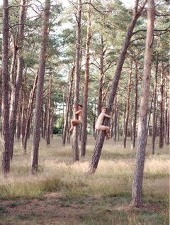 Autumn is Coming (Falsterbo Sweden / Nude Boys as Tree Huggers)
