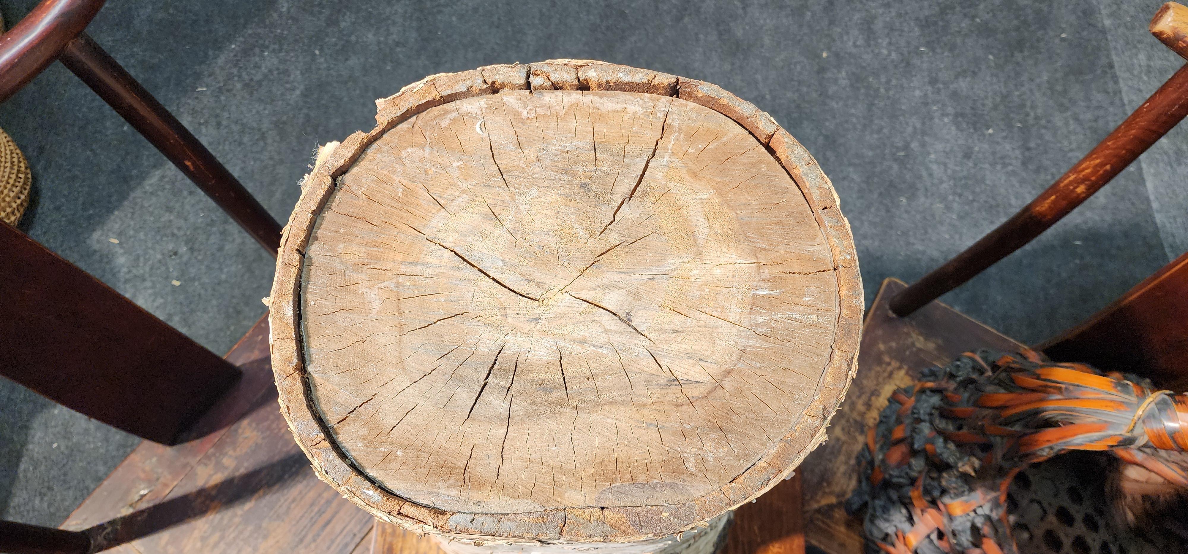 Bouleau d'Adirondack Écorce Charme 7