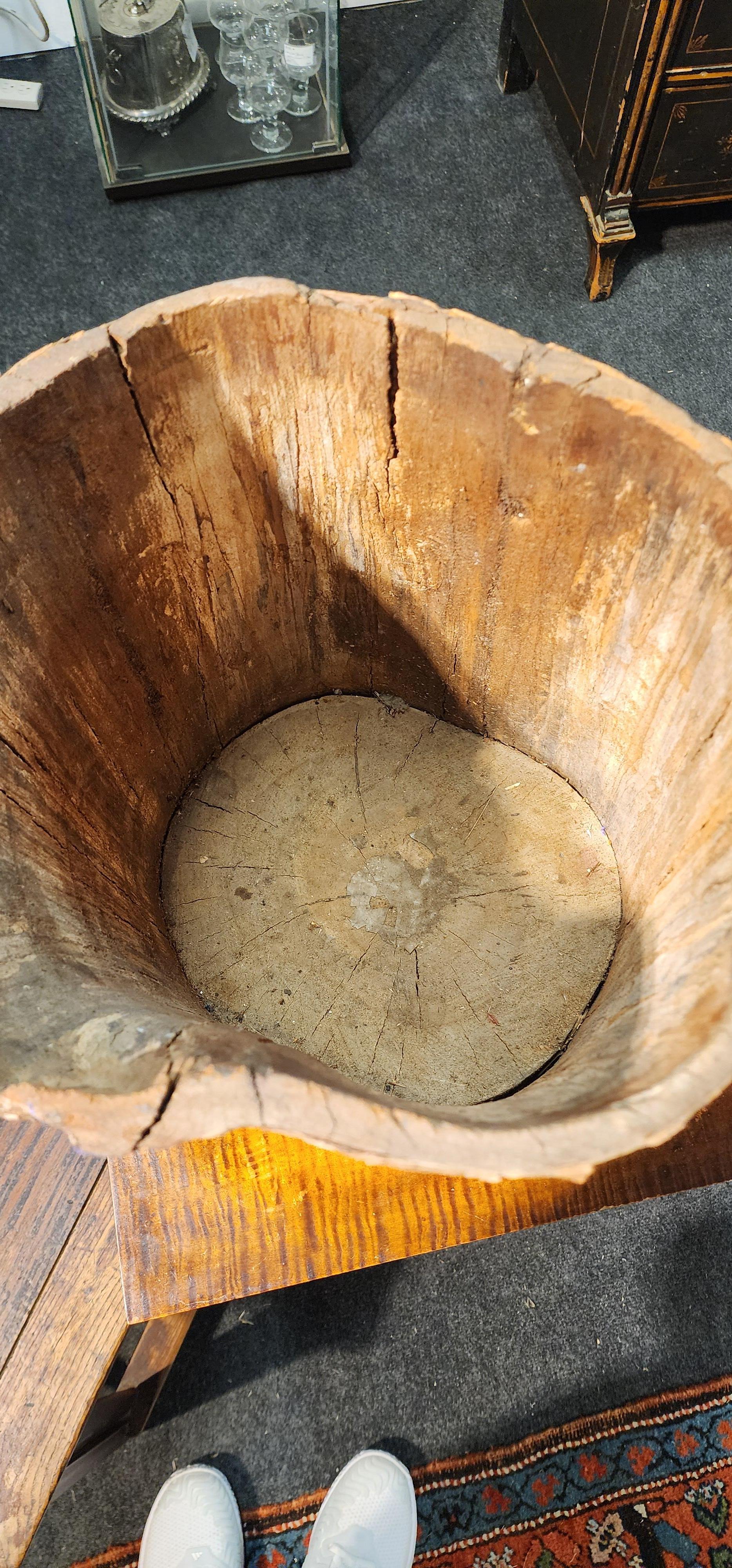 Bouleau d'Adirondack Écorce Charme 8