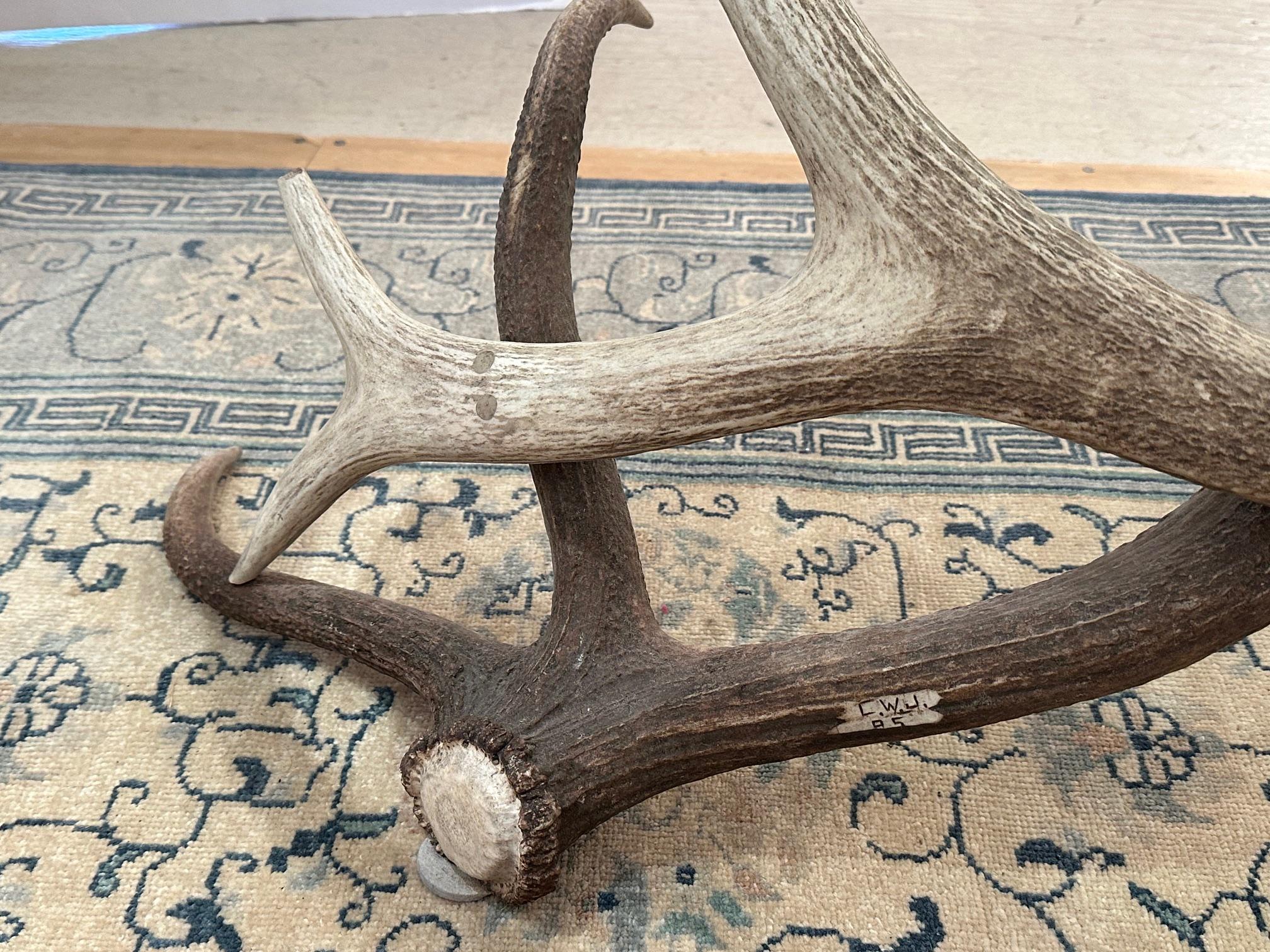 Table basse en bois d'élan et verre ovale Adirondack Chic en vente 4