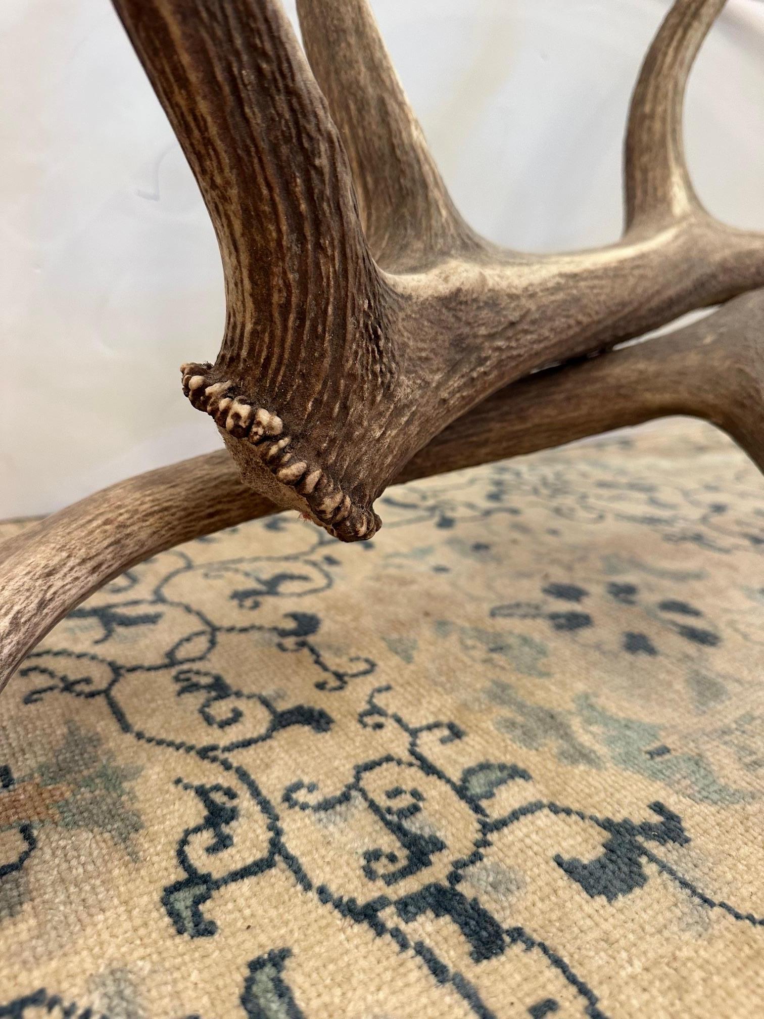 Table basse en bois d'élan et verre ovale Adirondack Chic Bon état - En vente à Hopewell, NJ