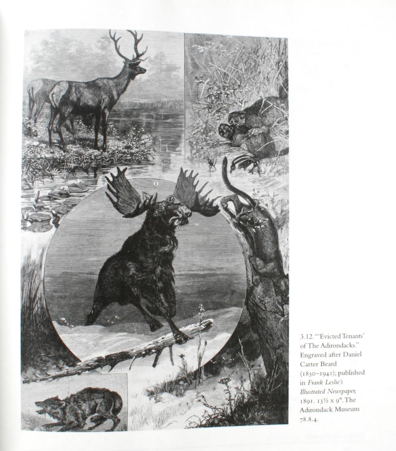 Adirondack Prints and Printmakers, The Call of the Wild, 1st Edition 4