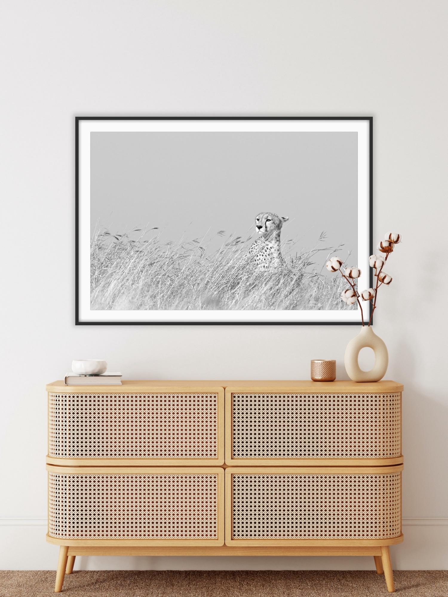 Paysage animalier Noir et blanc Grand chat Photographie Cheetah Afrique Nature Wildlife en vente 1