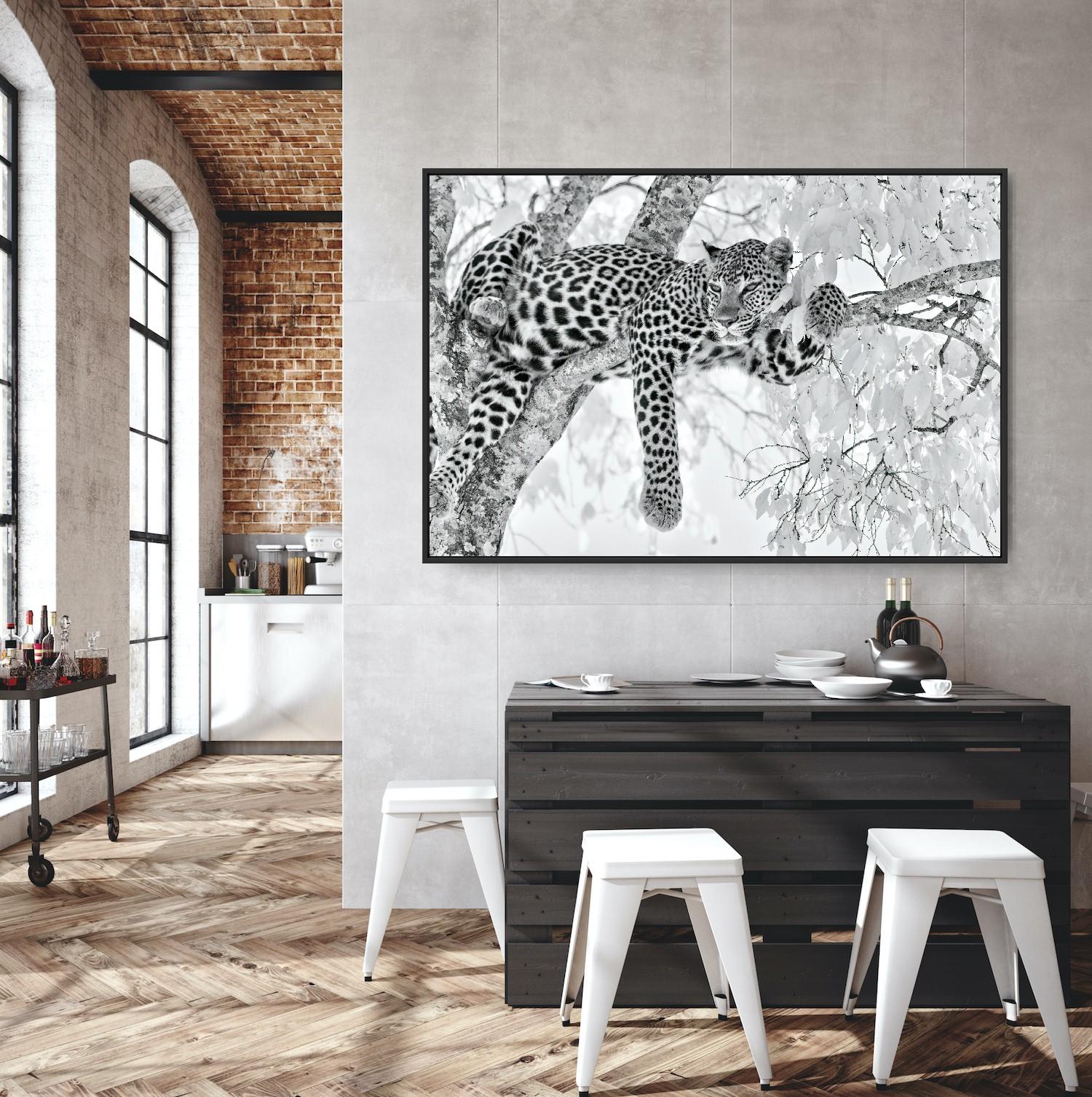 Animal Landscape Large Photograph Leopard Black White Nature Africa Wildlife en vente 6