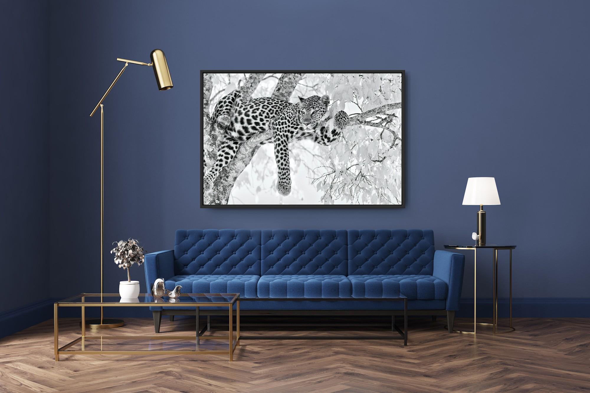Tier Landschaft Groß Fotografie Leopard Schwarz Weiß Natur Afrika Wildlife im Angebot 8