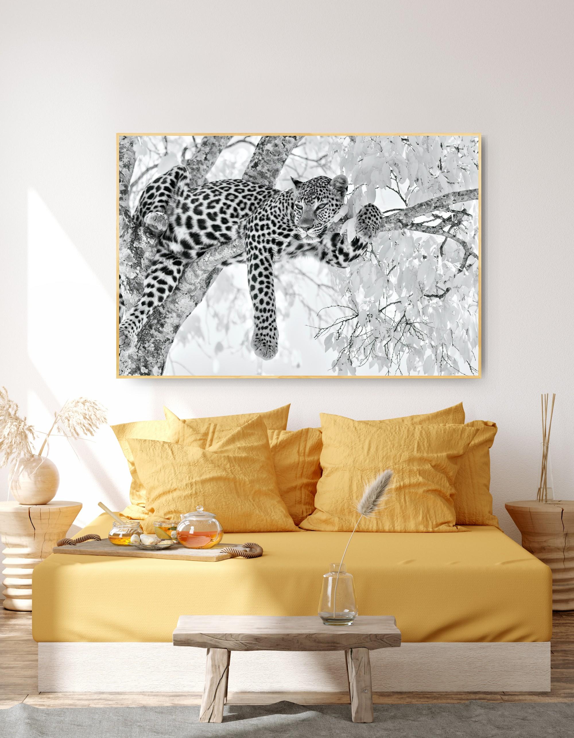 Tier Landschaft Groß Fotografie Leopard Schwarz Weiß Natur Afrika Wildlife im Angebot 12