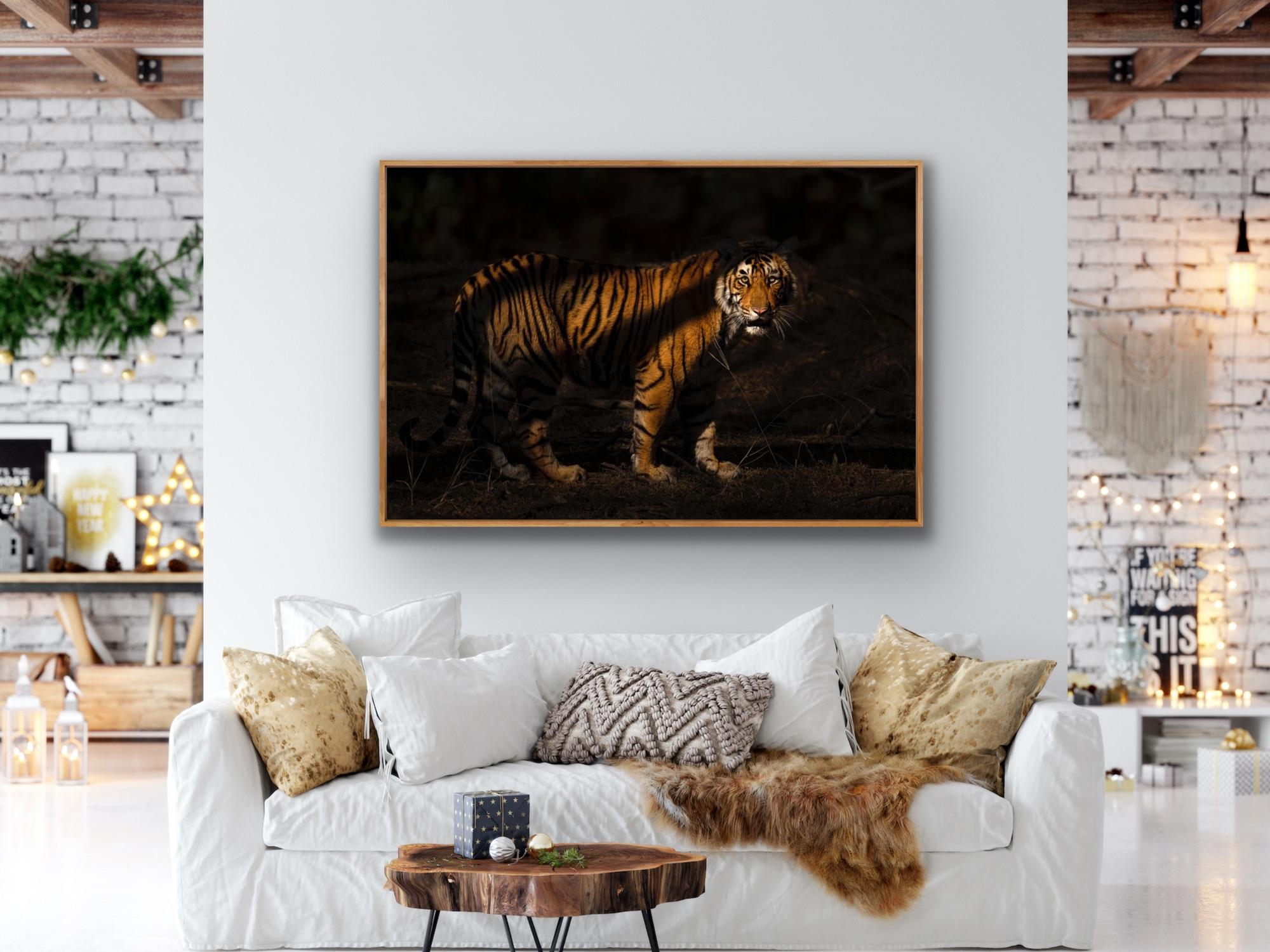 Animal Landscape Large Photograph Nature Tiger India Forest Wildlife Night   - Contemporary Print by Aditya Dicky Singh