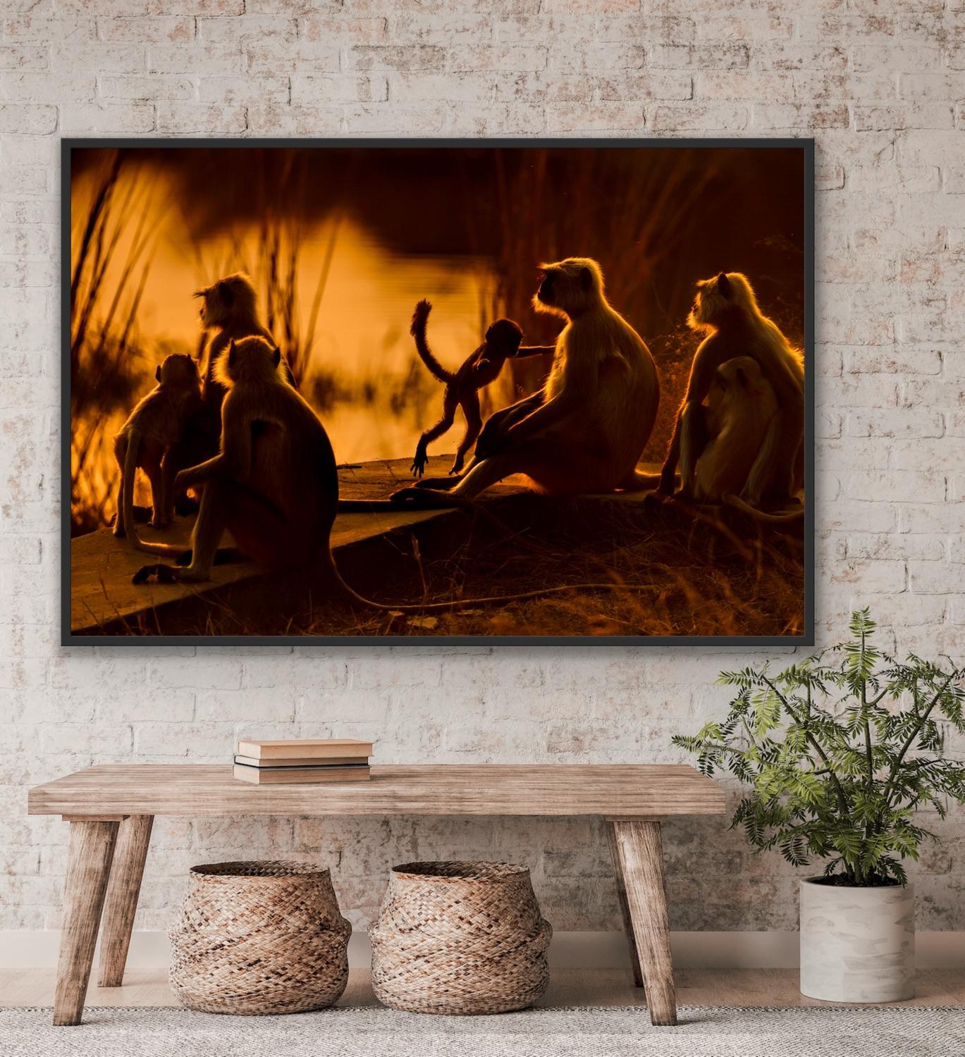 Animal Landscape Large Photography Family Nature Monkey Sunset Forest India - Black Landscape Photograph by Aditya Dicky Singh