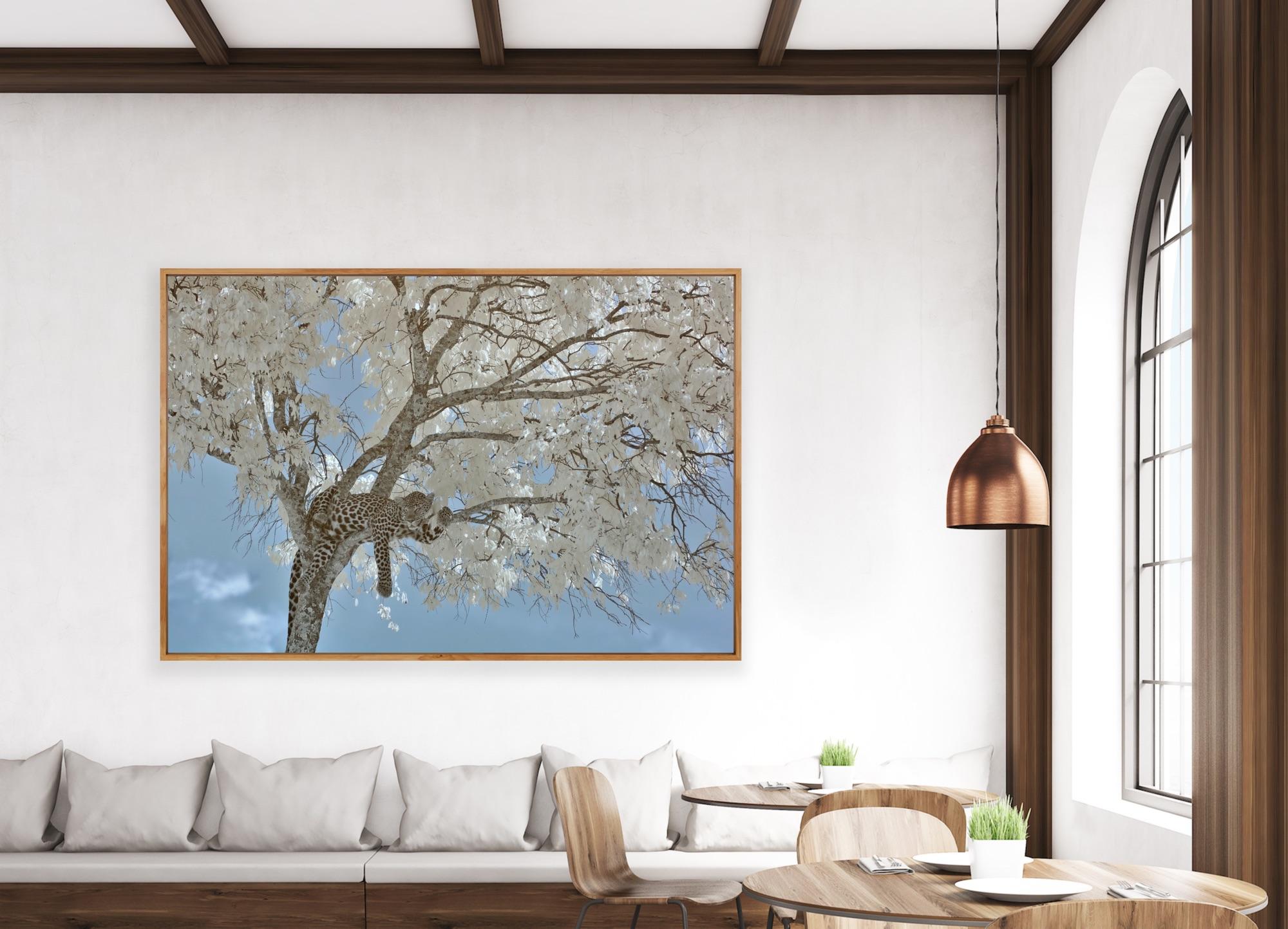 Aditya Dicky Singh  Untitled  Infrared photograph on fine-art Hahnemuhle archival paper  
36