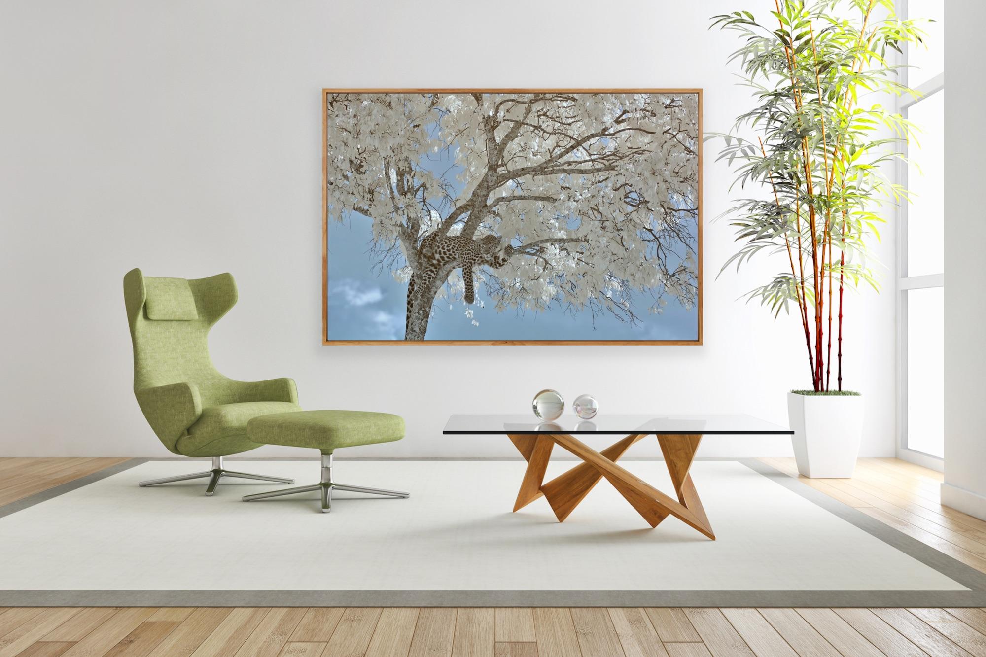 Animal Landscape Photograph Leopard  Blue White Infrared Kenya Nature Wildlife For Sale 2