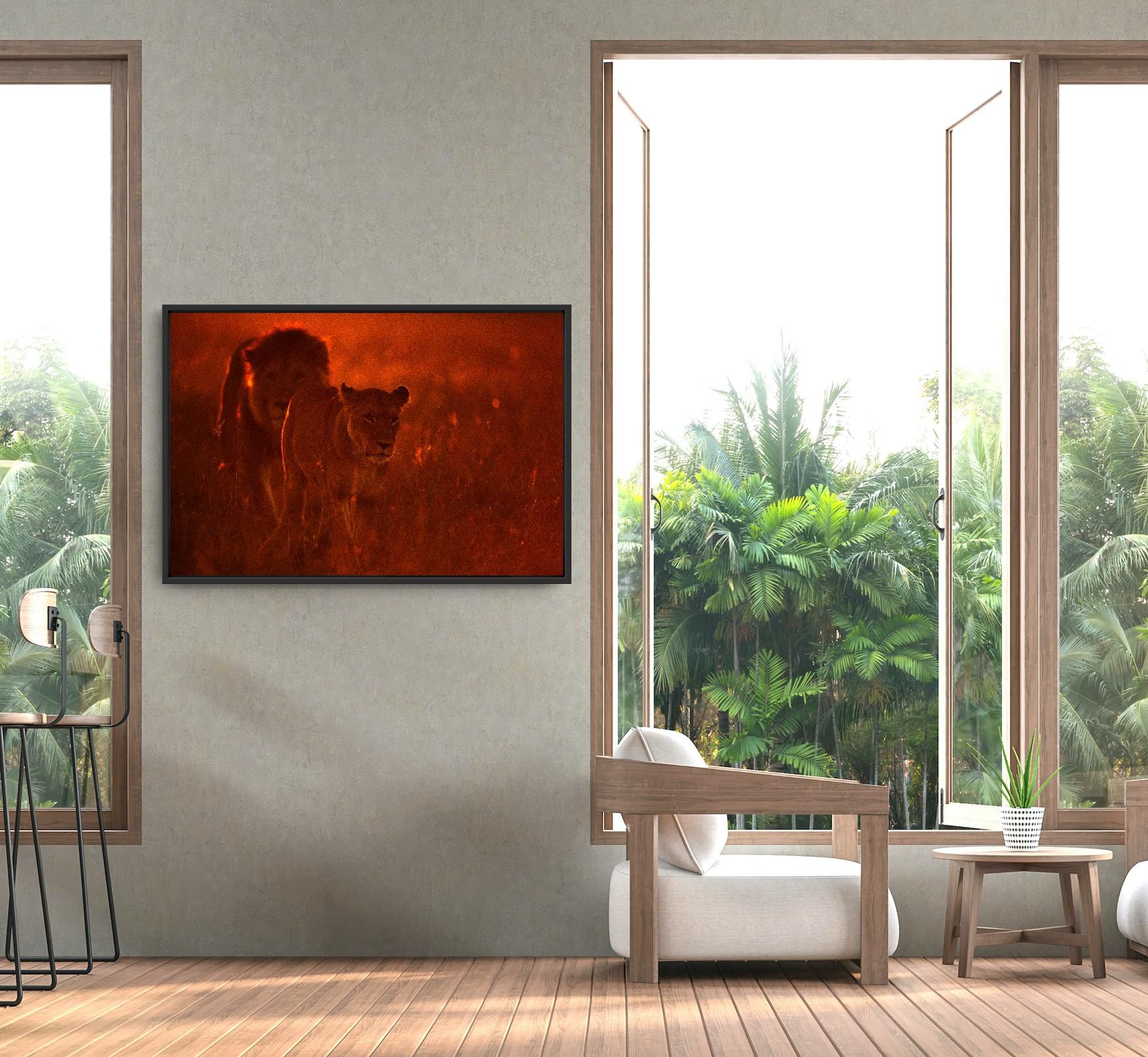 Animal Paysage Photographie Nature Faune Lions Africains Rouge Orange Coucher de Soleil en vente 12