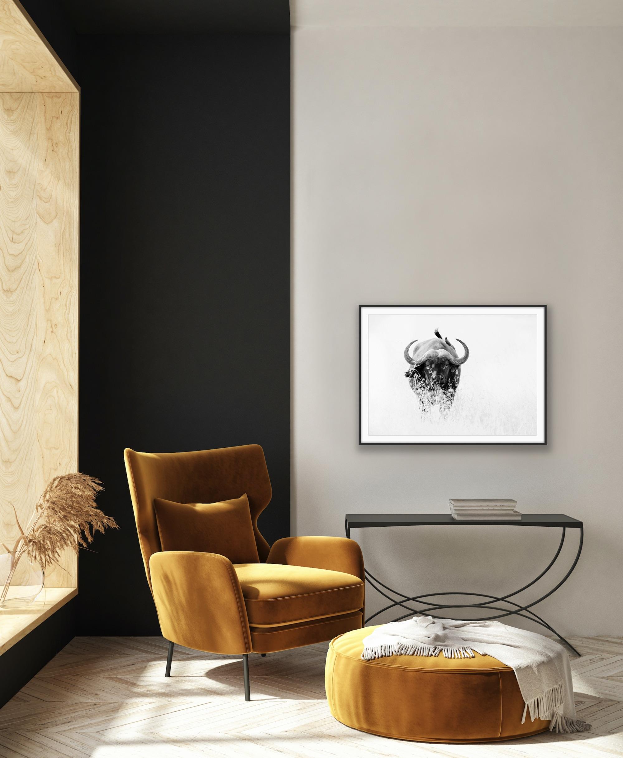 Photographie - Paysage animalier - Nature - Nature - Portrait de buffle noir et blanc en vente 6