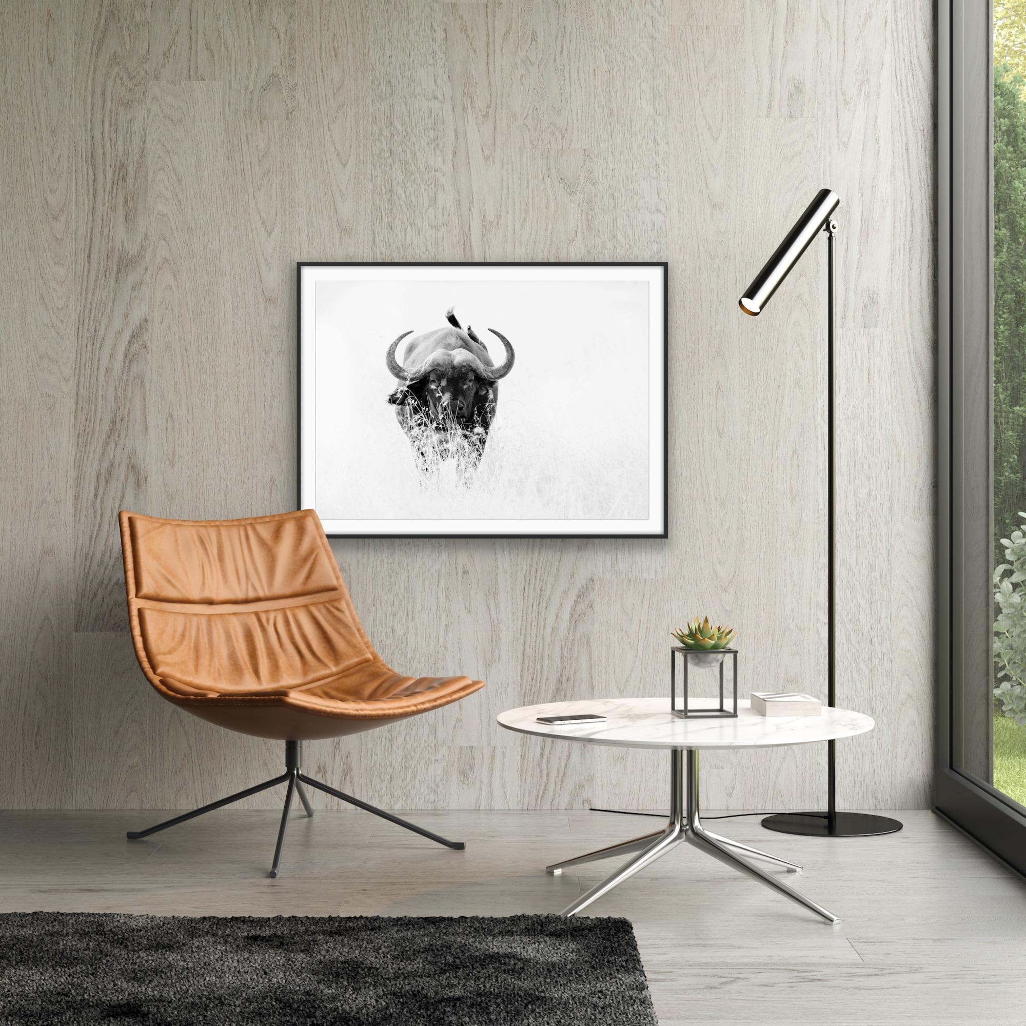 Photographie - Paysage animalier - Nature - Nature - Portrait de buffle noir et blanc en vente 7