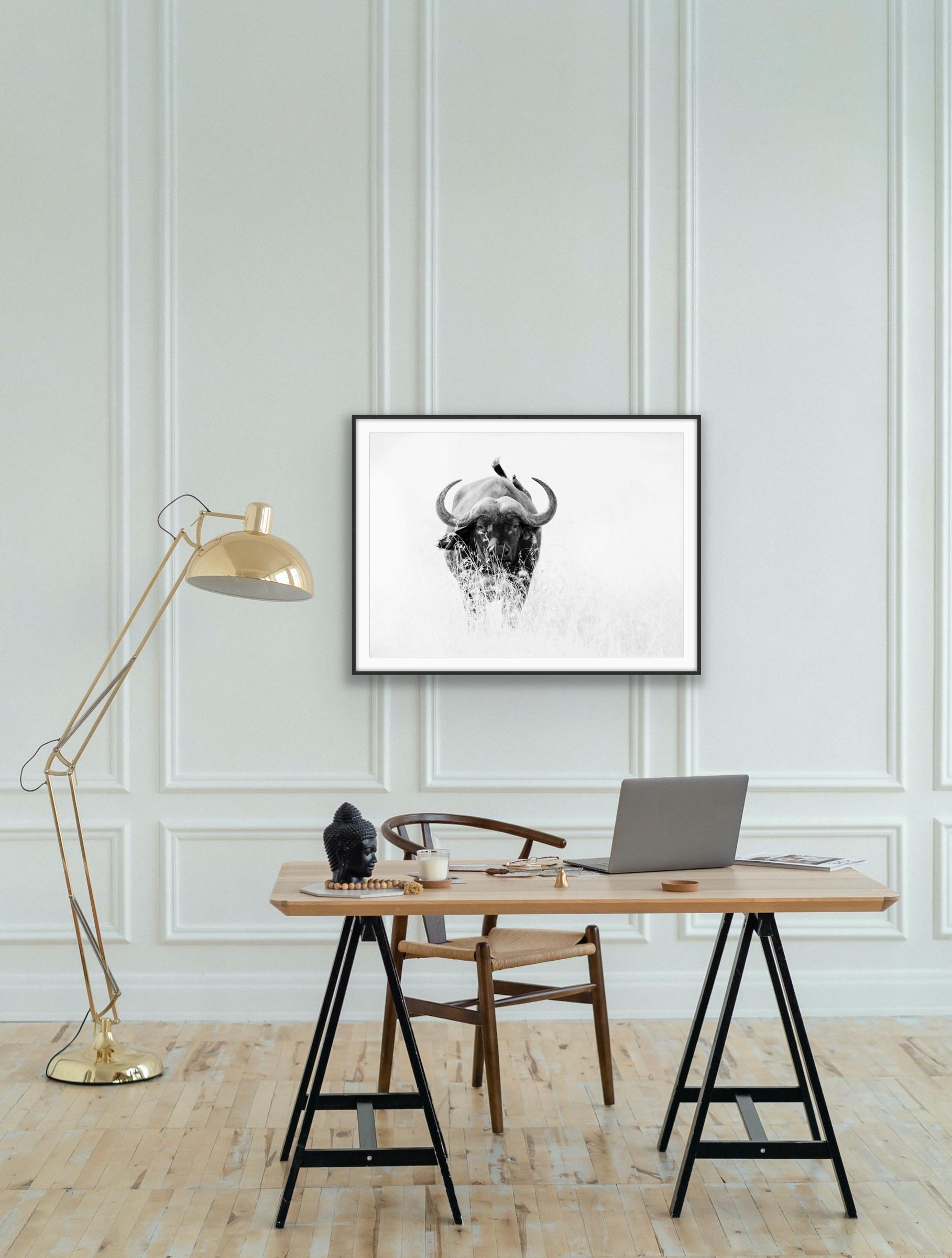 Photographie - Paysage animalier - Nature - Nature - Portrait de buffle noir et blanc en vente 9