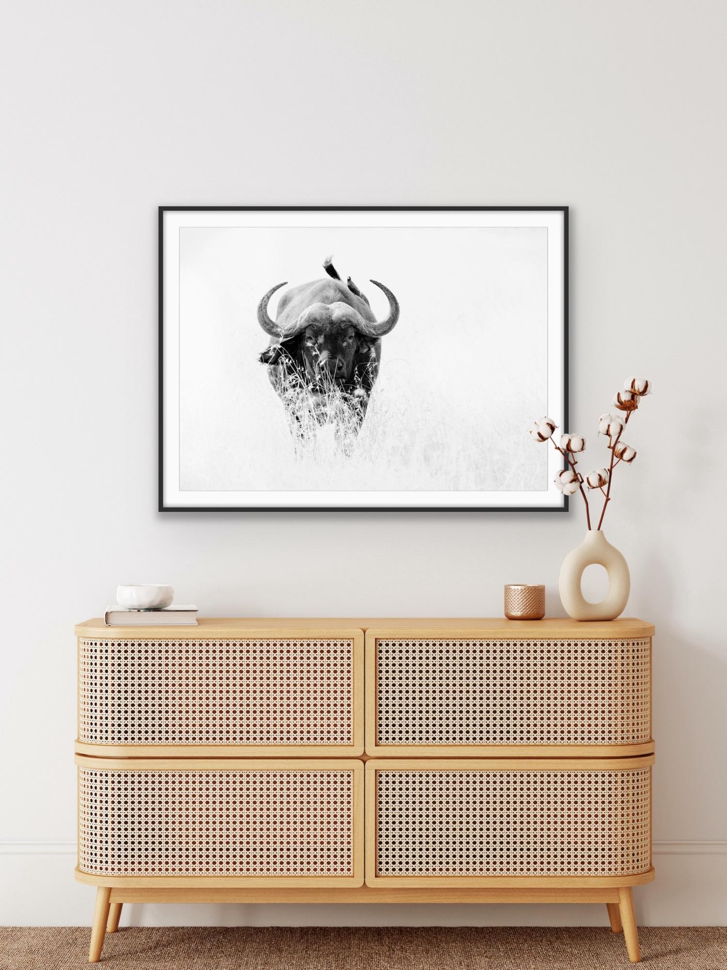Animal Landscape Photograph Nature Wildlife Black White Buffalo Africa Portrait For Sale 10
