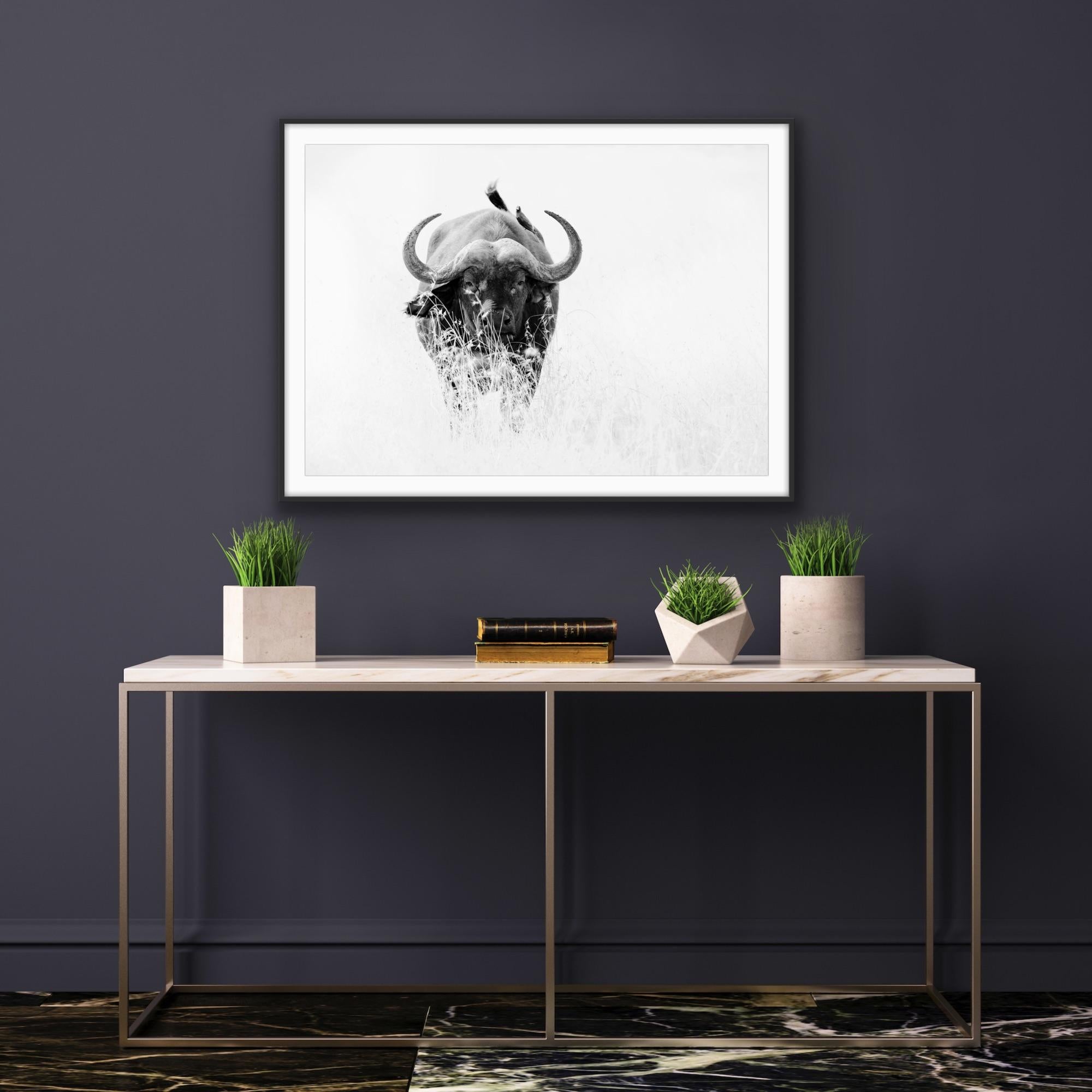 Animal Landscape Photograph Nature Wildlife Black White Buffalo Africa Portrait For Sale 5