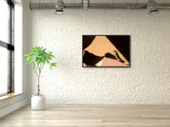 Fotografía Naturaleza Geométrica Fauna Lagarto India Marrón Crema Triángulo Sombras