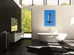 Fotografía Animal Paisaje Pájaro Blanco Alas Cielo Azul Naturaleza Vida Salvaje India