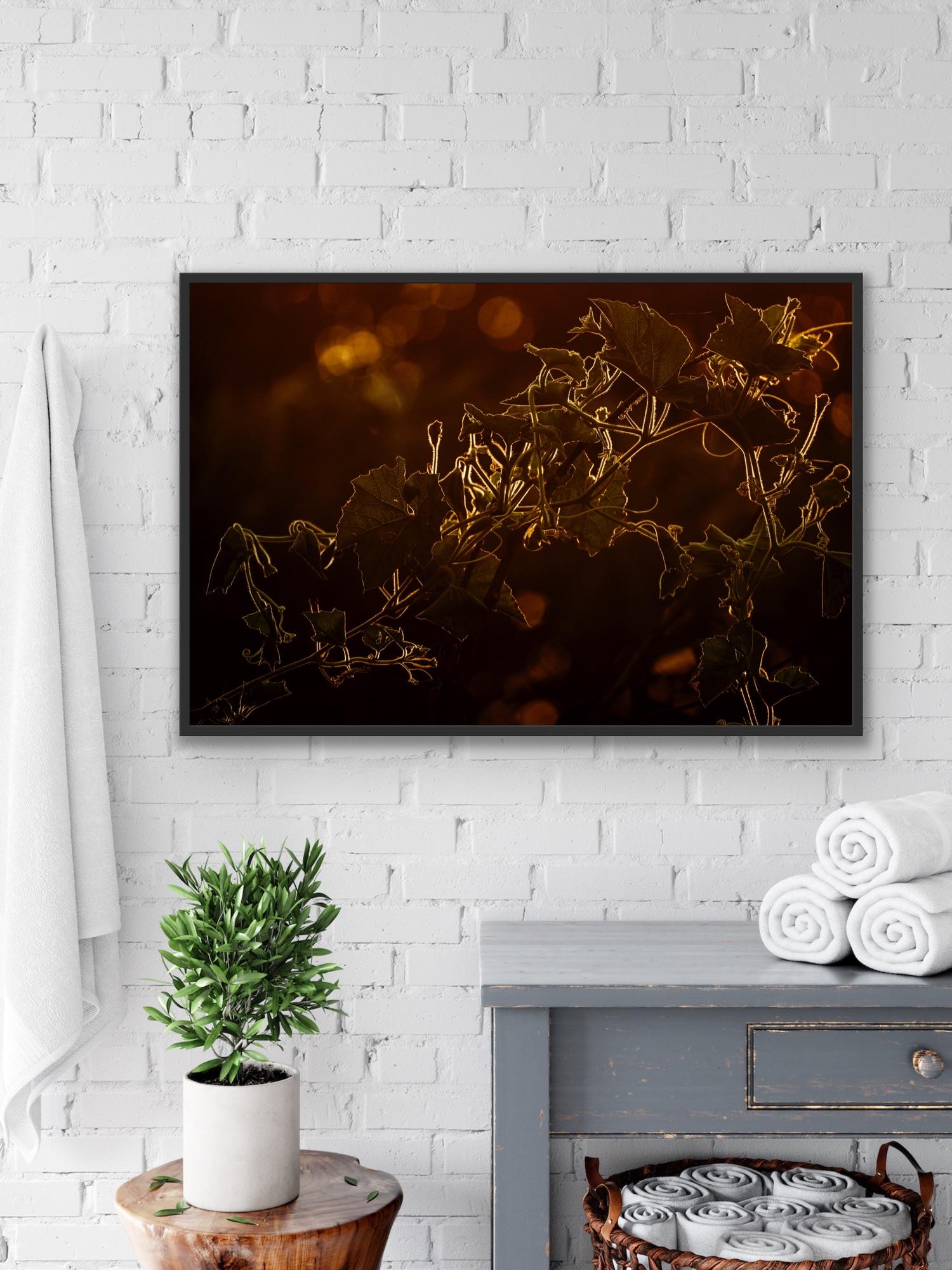 Landschaft Großes Foto Wildlife Bäume Tier Natur Orange Indien Wald im Angebot 5
