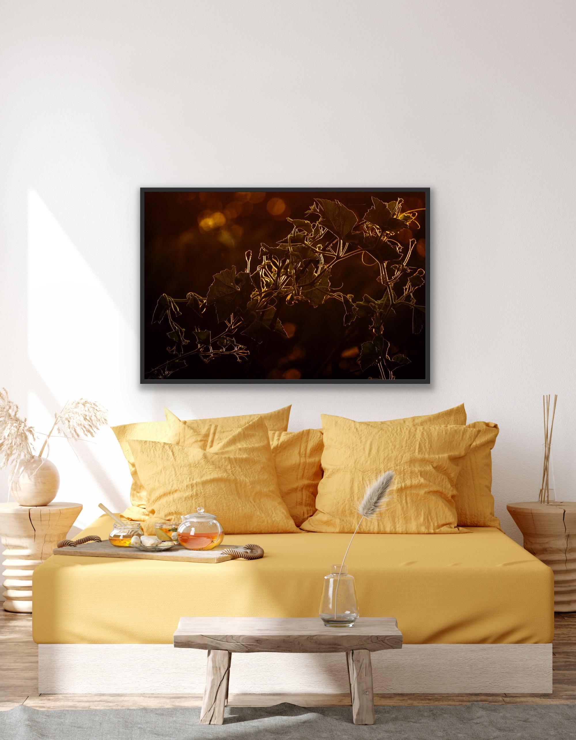 Paysage Grande Photographie Faune Arbres Animal Nature Orange Inde Forêt en vente 7