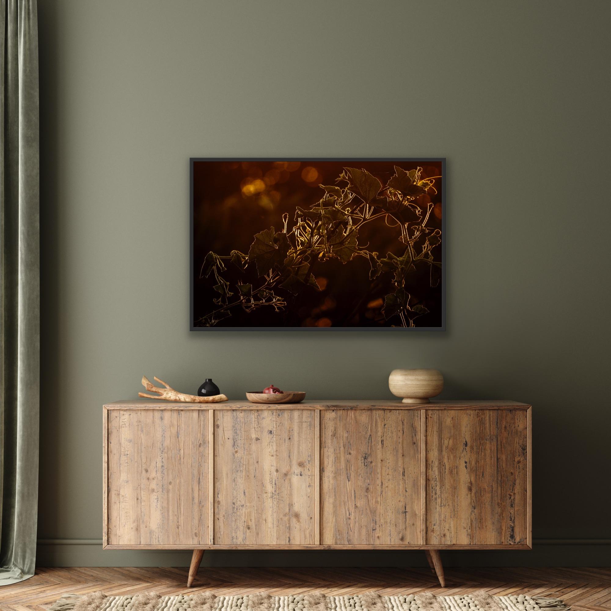 Landschaft Großes Foto Wildlife Bäume Tier Natur Orange Indien Wald im Angebot 8