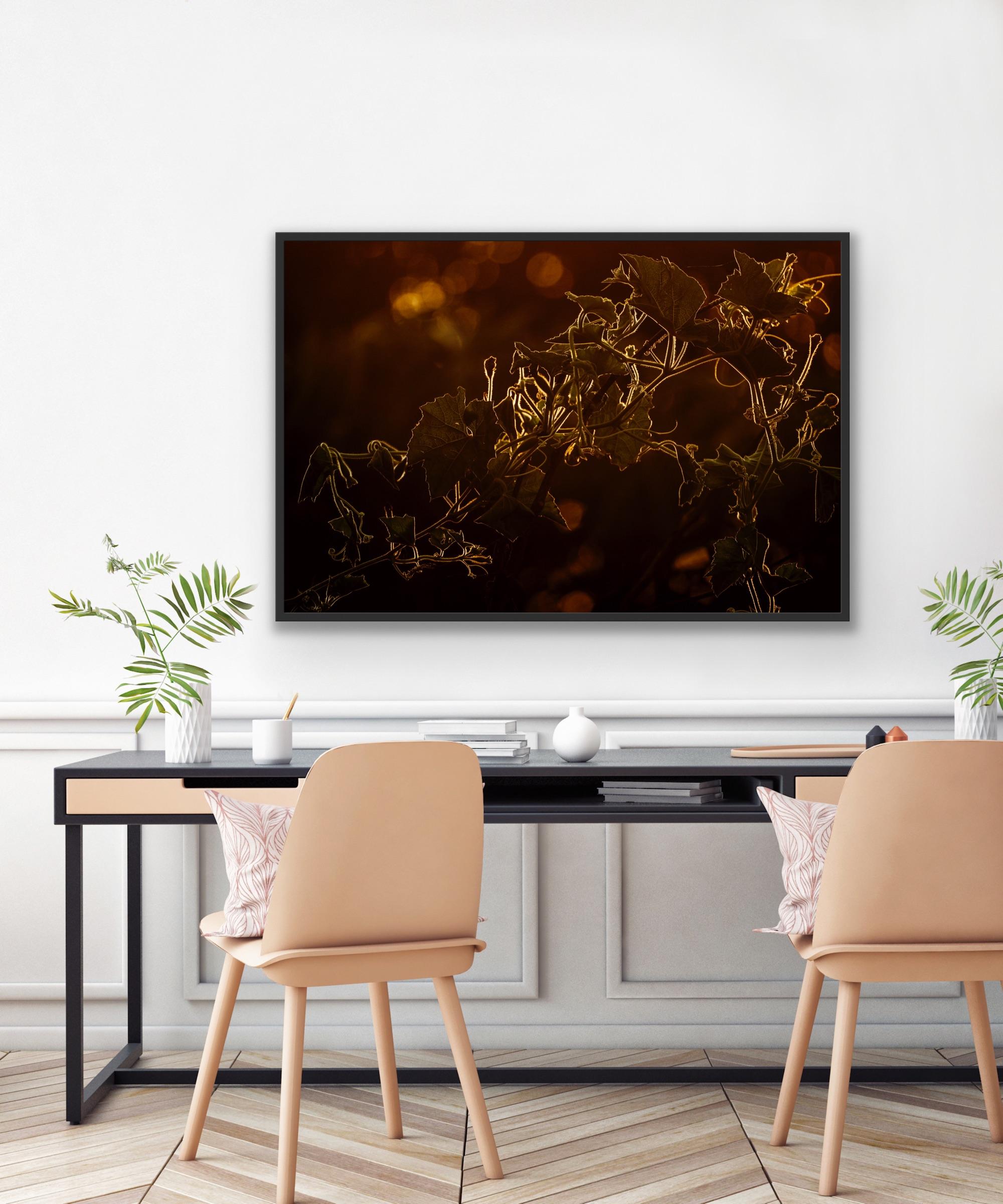 Landschaft Großes Foto Wildlife Bäume Tier Natur Orange Indien Wald im Angebot 9