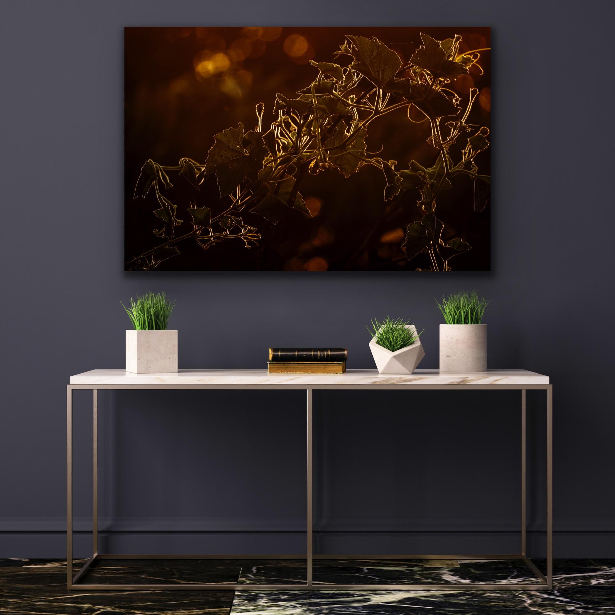 Landschaft Großes Foto Wildlife Bäume Tier Natur Orange Indien Wald im Angebot 12