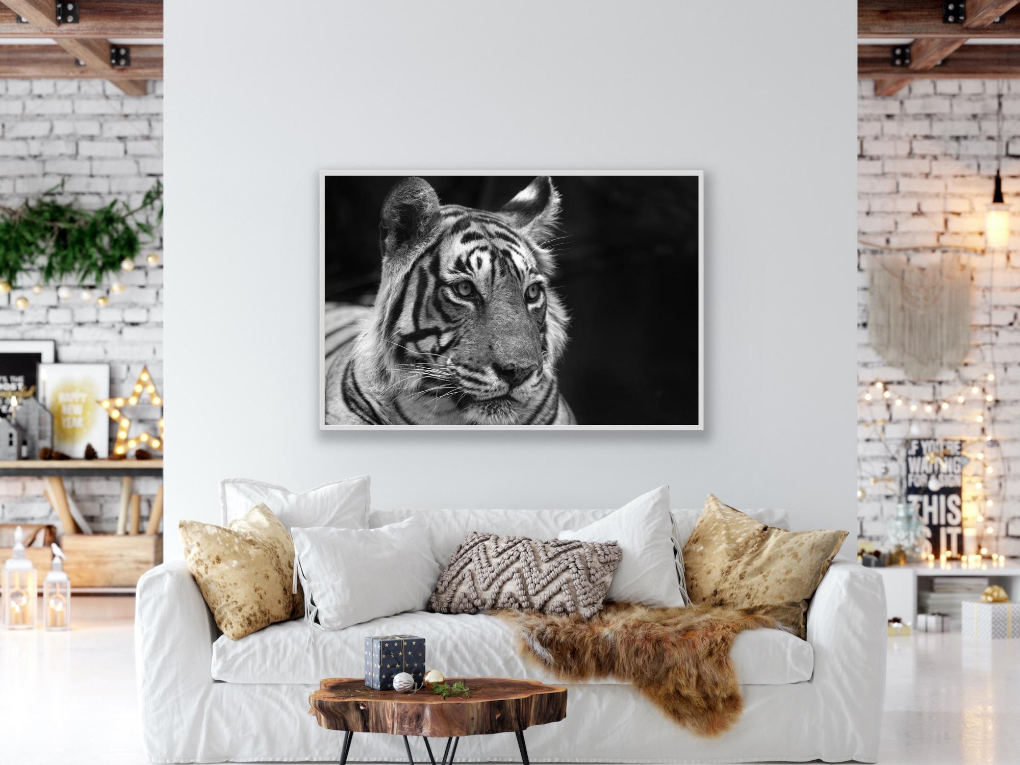 Landscape Nature Animal Photograph Large Black and White Tiger Water Lake India  For Sale 1