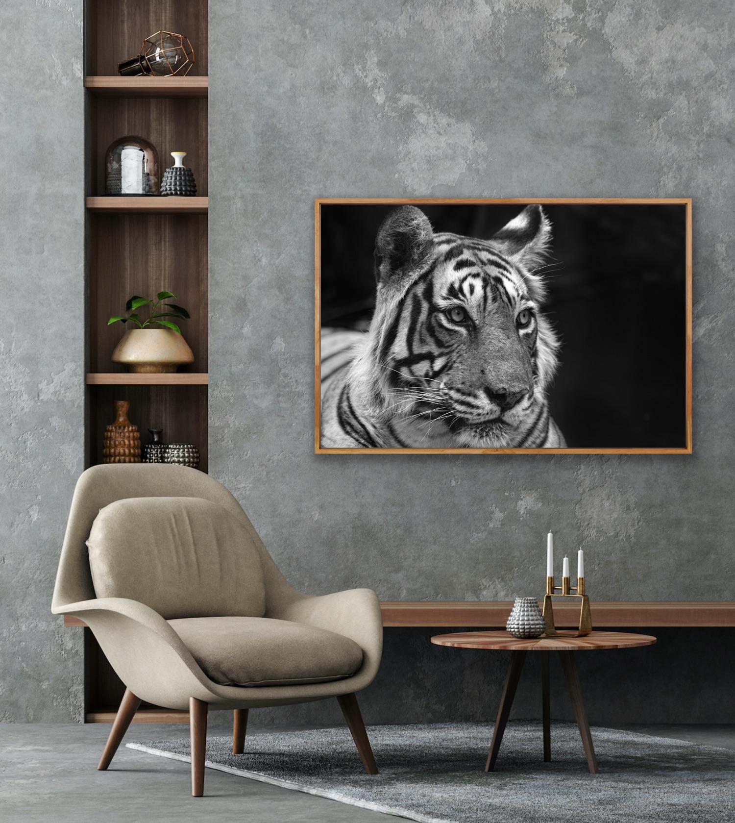 Landscape Nature Animal Photograph Large Black and White Tiger Water Lake India  For Sale 2