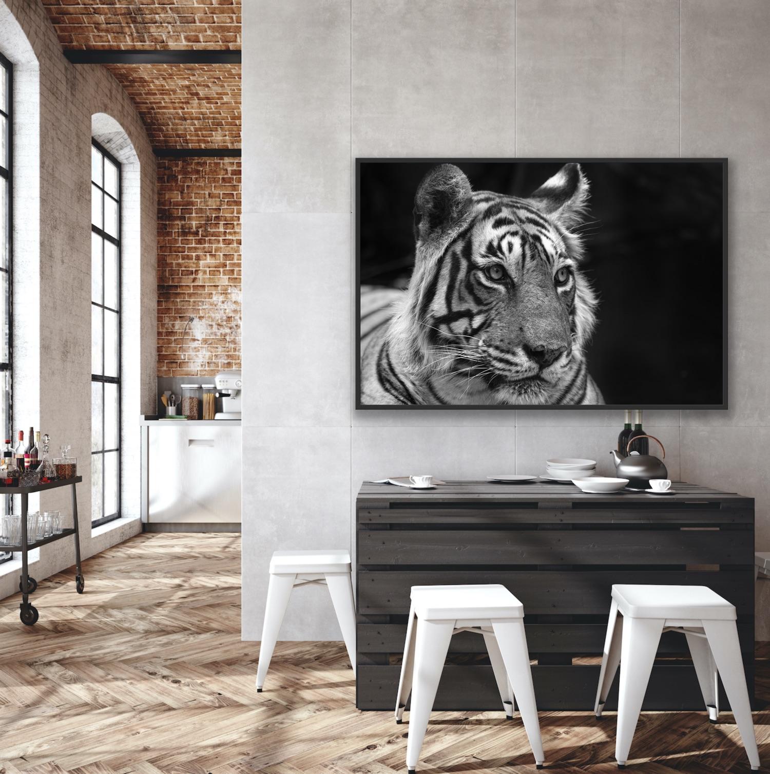 Landscape Nature Animal Photograph Large Black and White Tiger Water Lake India  For Sale 3