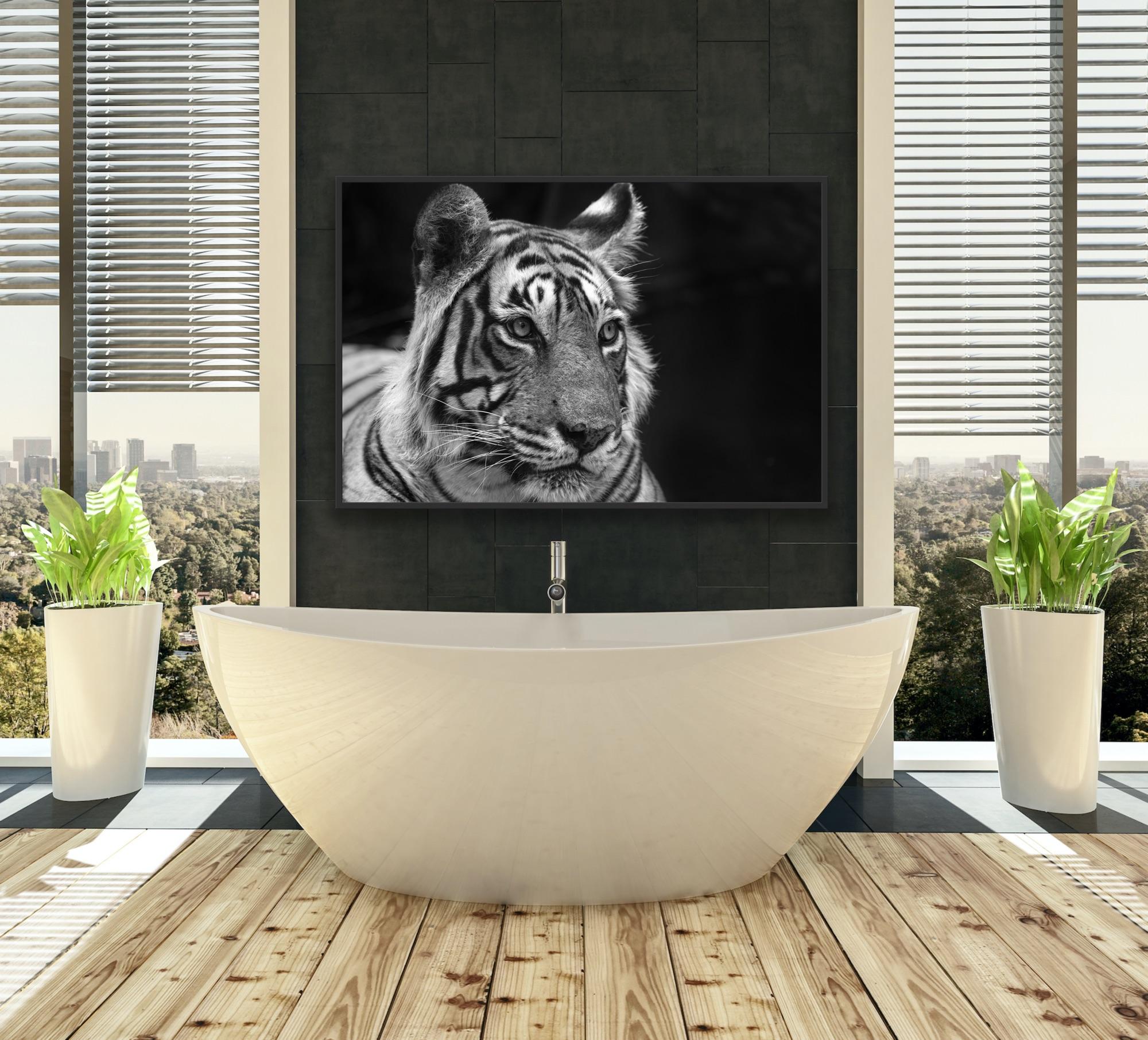 Landscape Nature Animal Photograph Large Black and White Tiger Water Lake India  For Sale 4